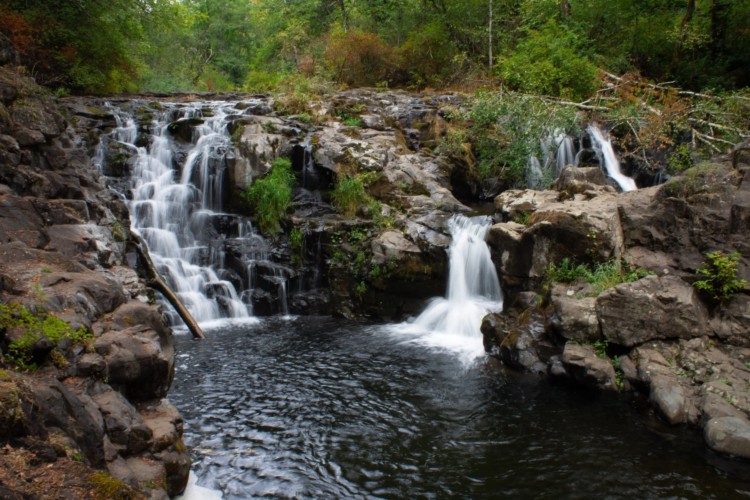 Quick Guide to Moulton Falls Regional Park — Pines and Vines