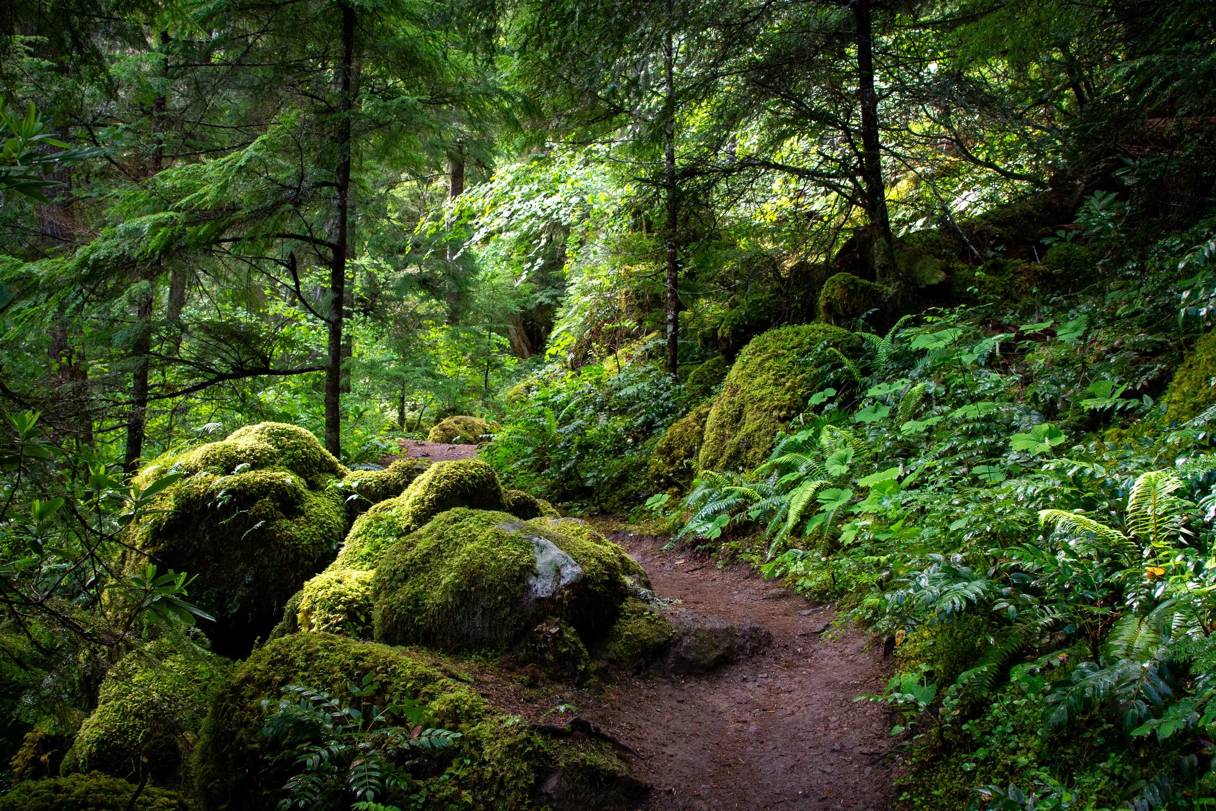 Watson Falls Trail