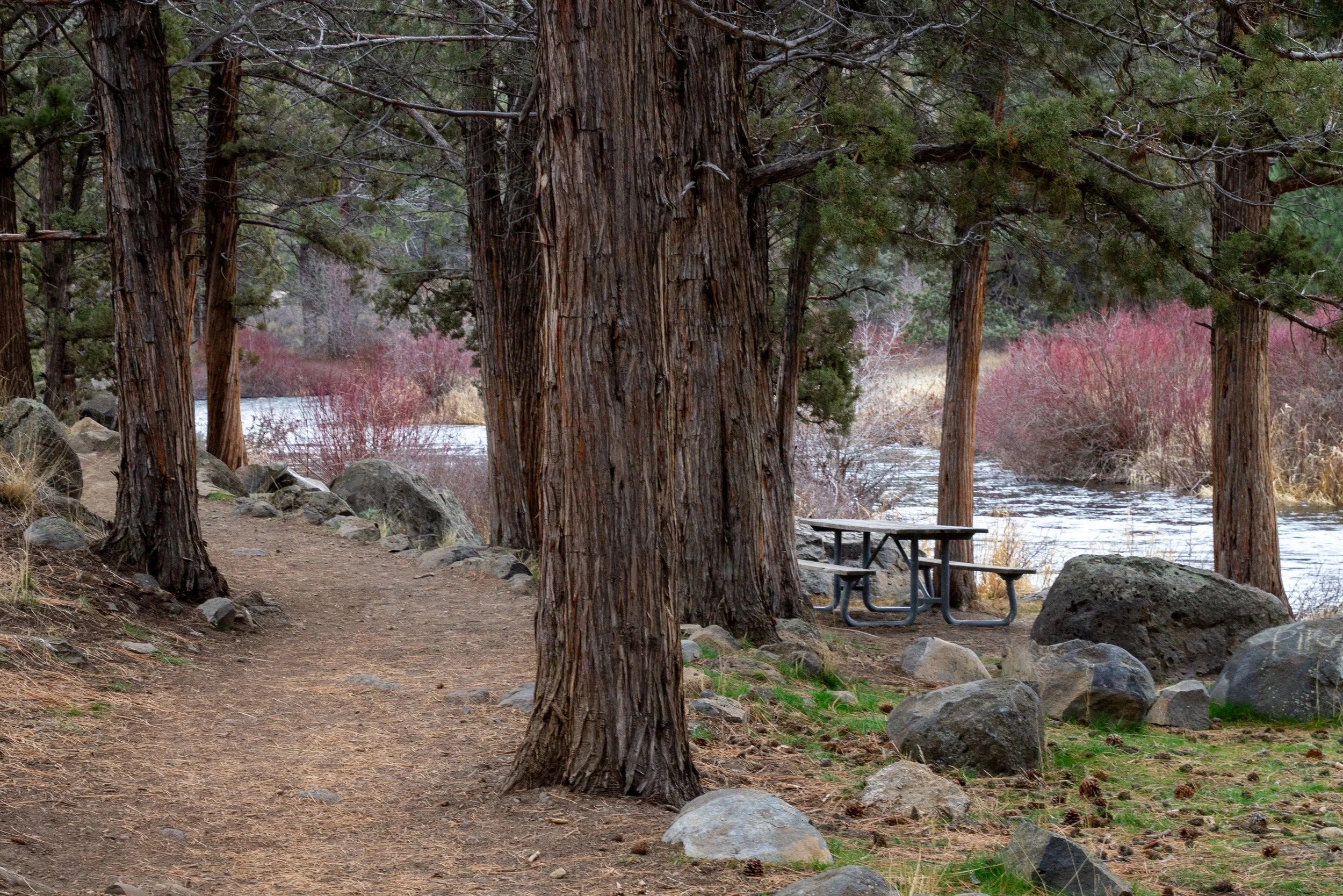 Picnic table between hiking trail and Deschutes River in Tumalo State Park
