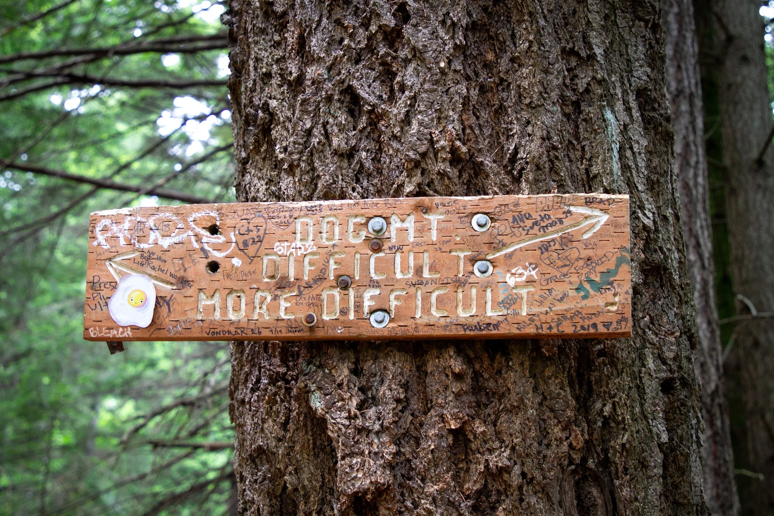 Dog Mountain sign for difficult trails