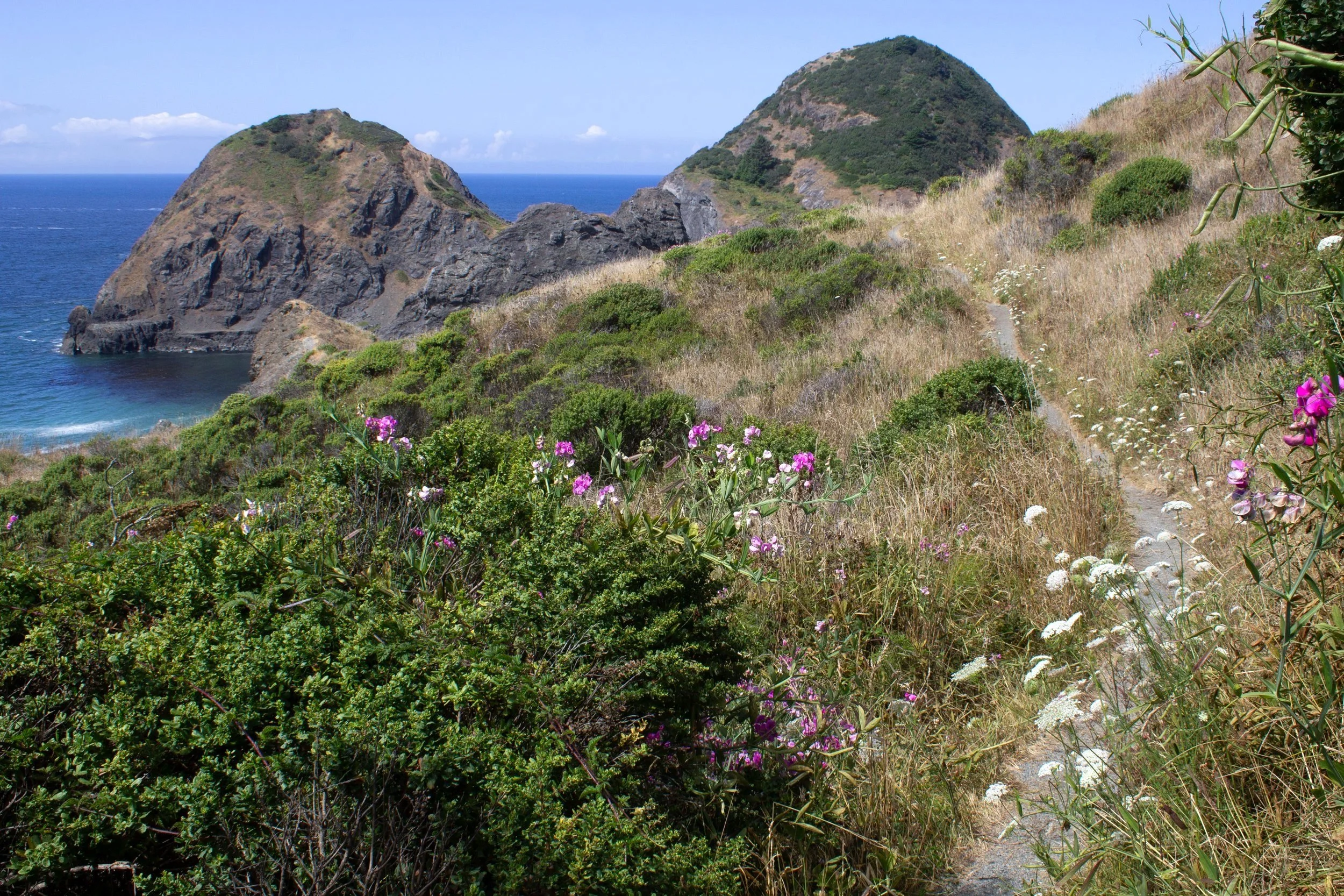 Quick Guide to Sisters Rock State Park on the Oregon Coast — Pines and ...