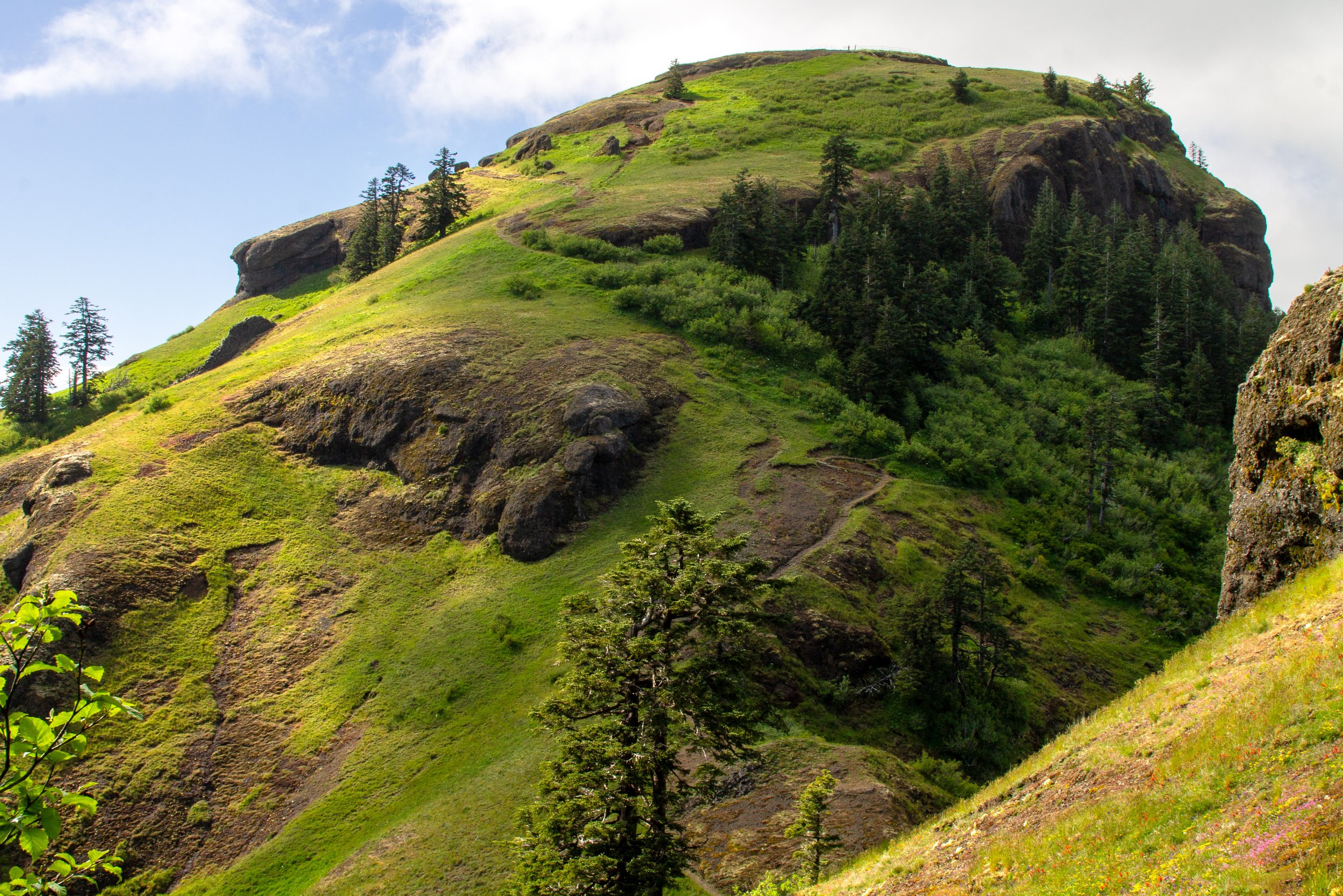 Saddle Mountain summit