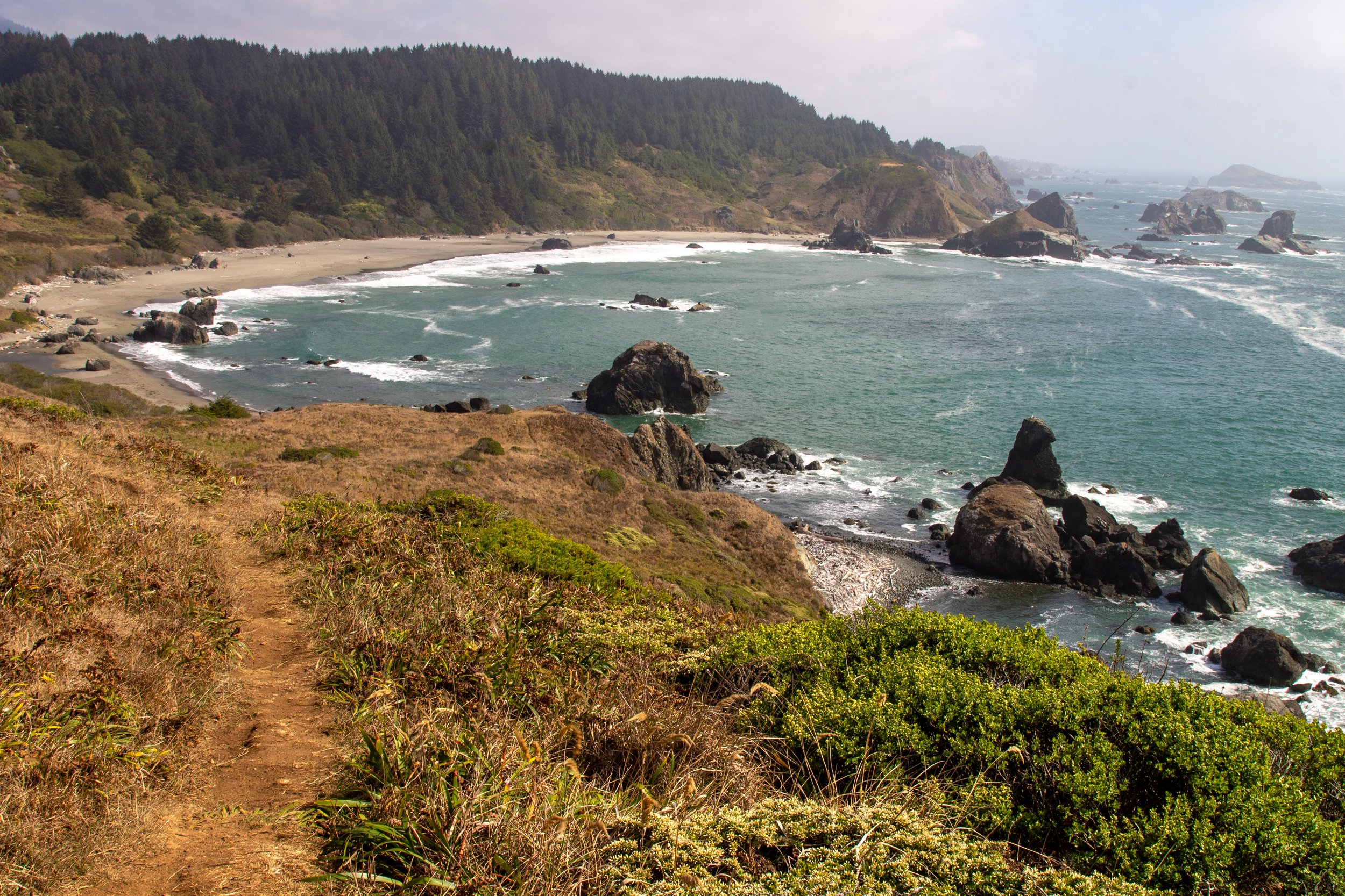Hiking trail overlooking Lone Ranch Beach