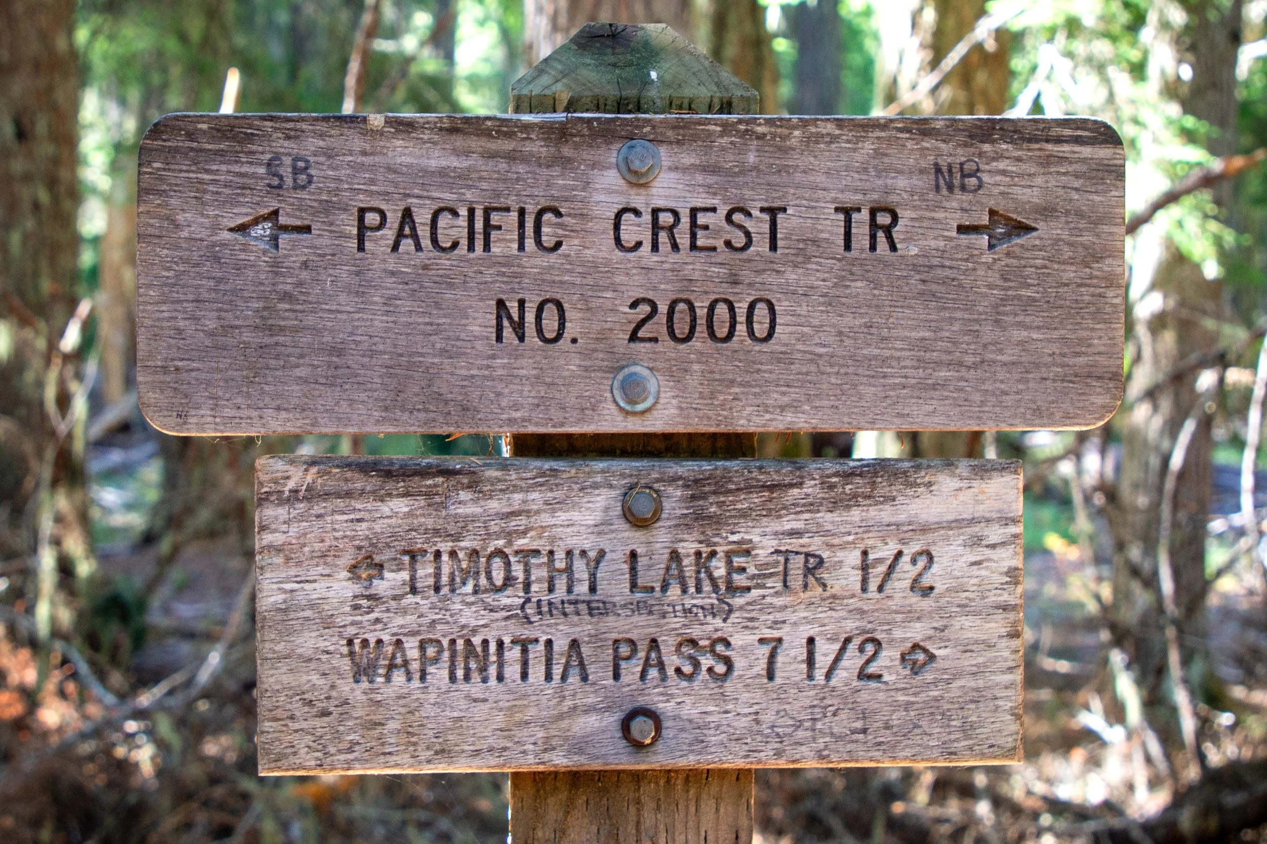 Signs for PCT and Timothy Lake