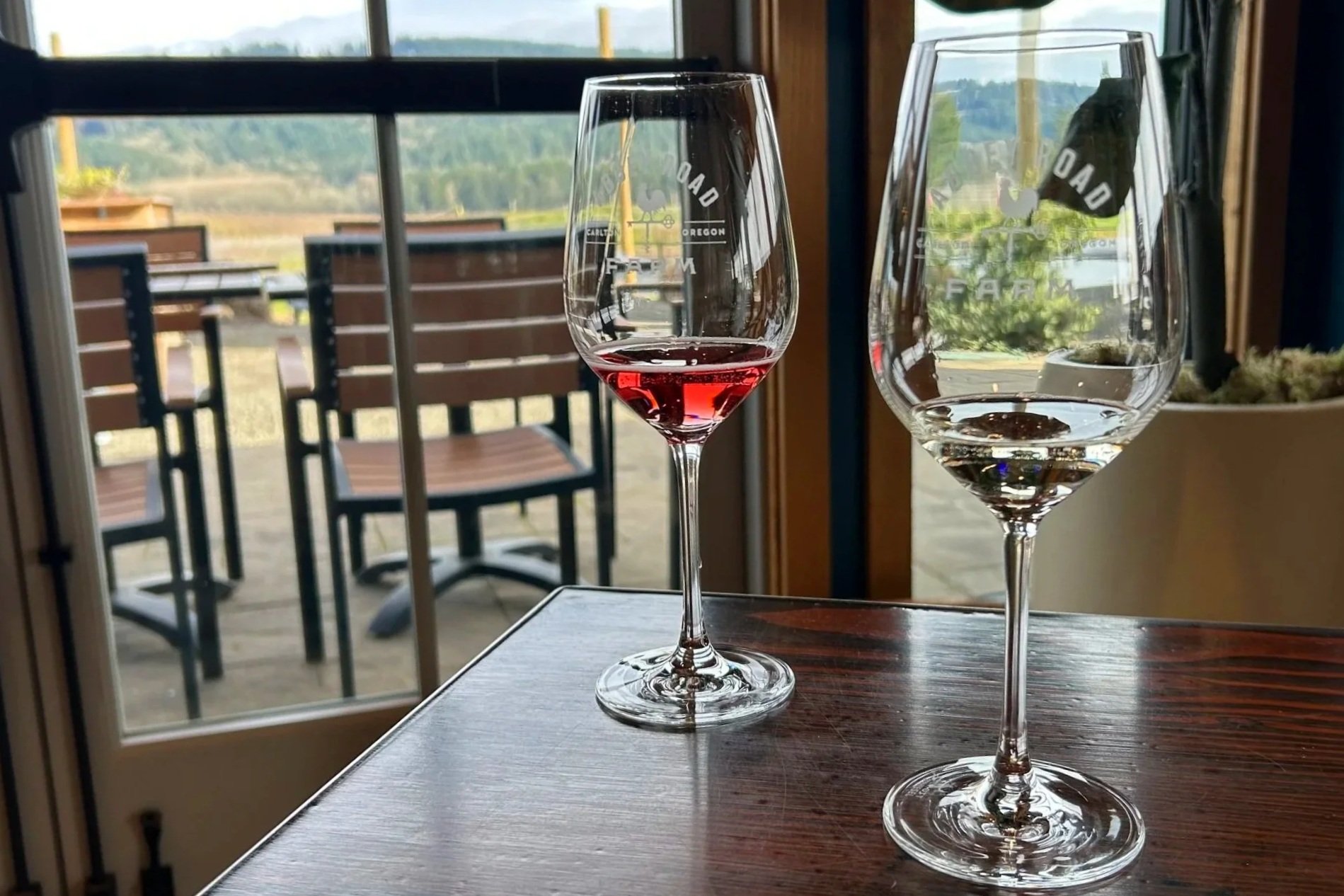 Tasting pours in wine glasses near big windows