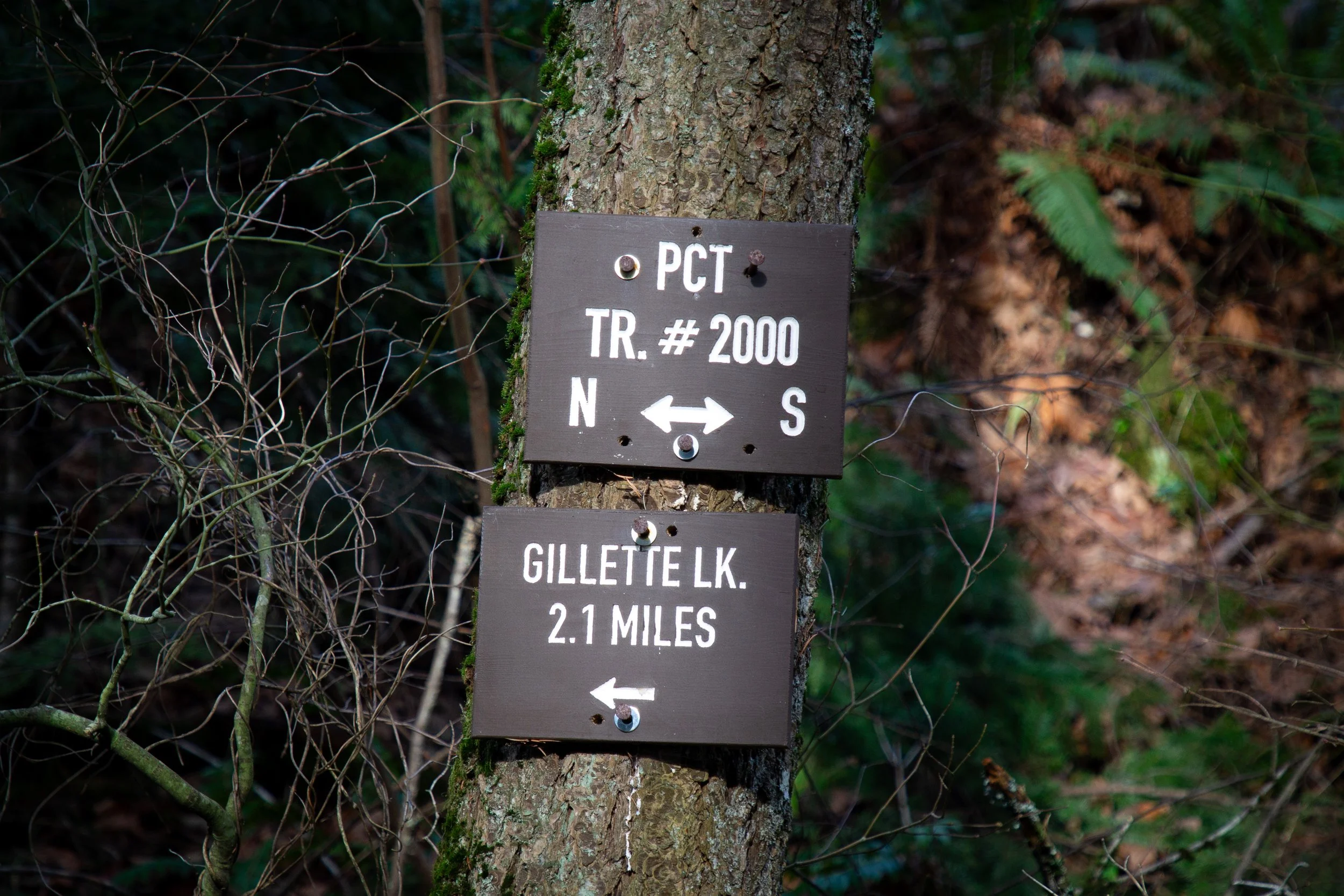 Sign points to PCT and Gillette Lake