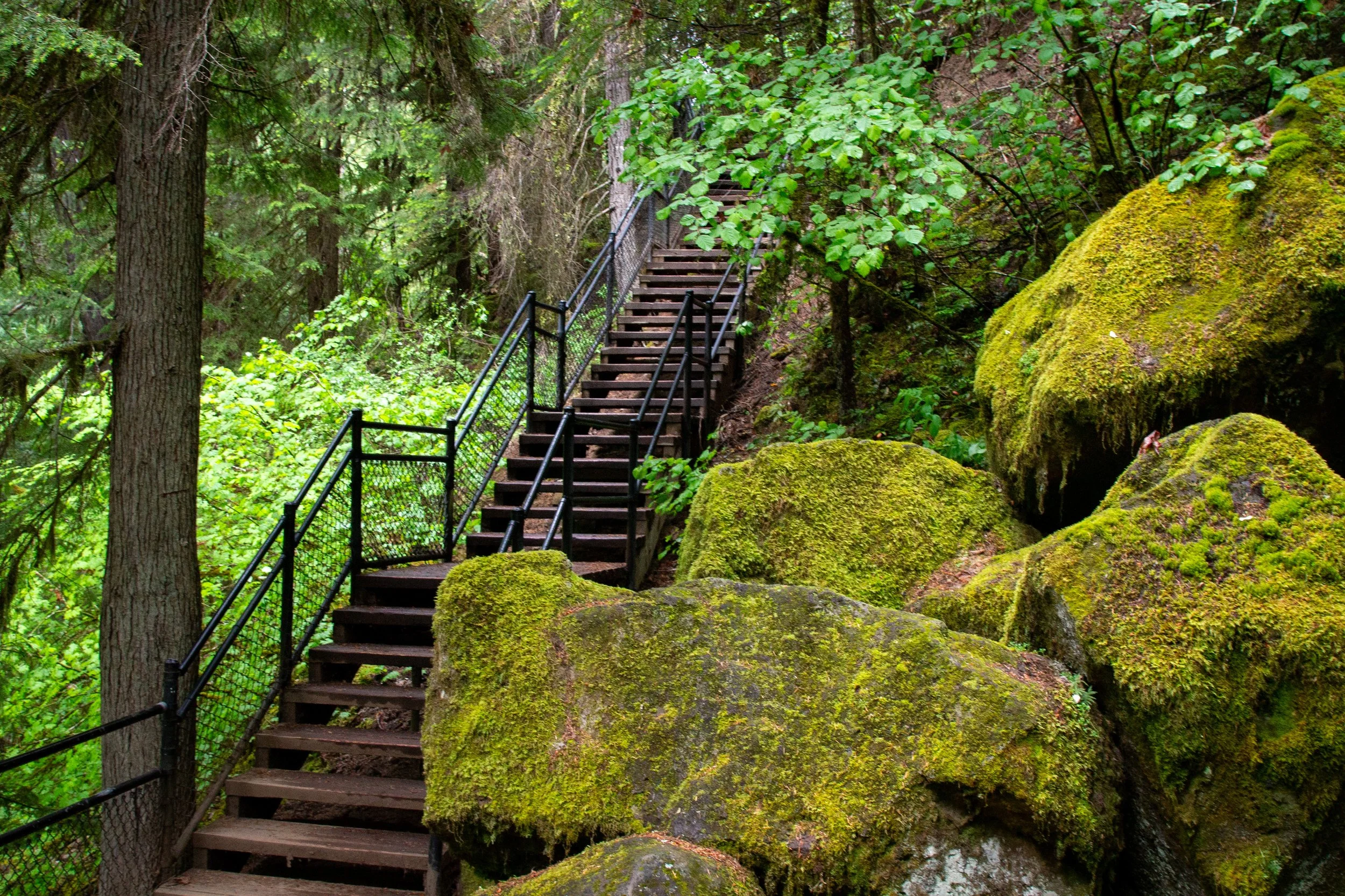 Staircase on the Toketee Falls Trail