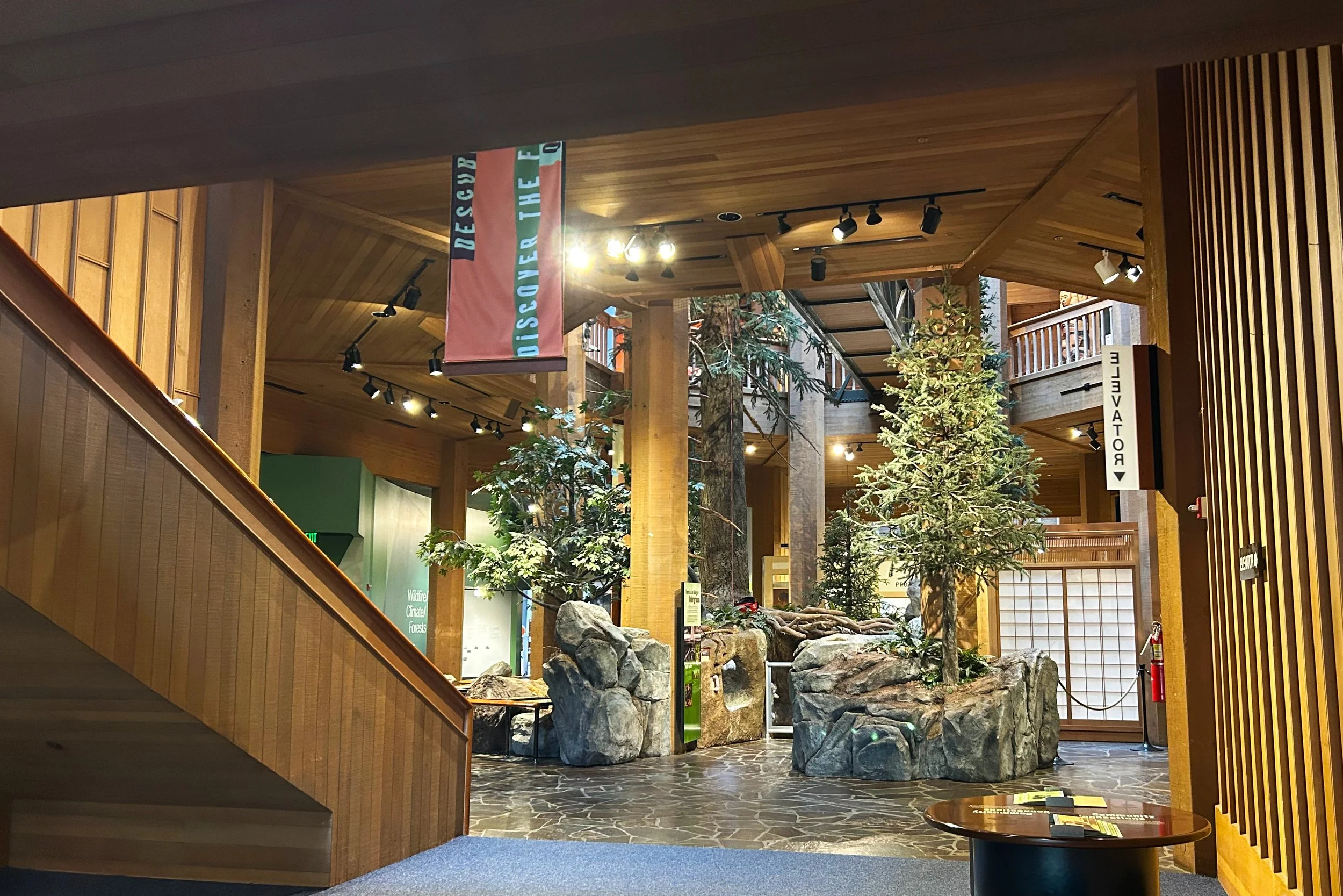 Tree exhibits at the World Forestry Center