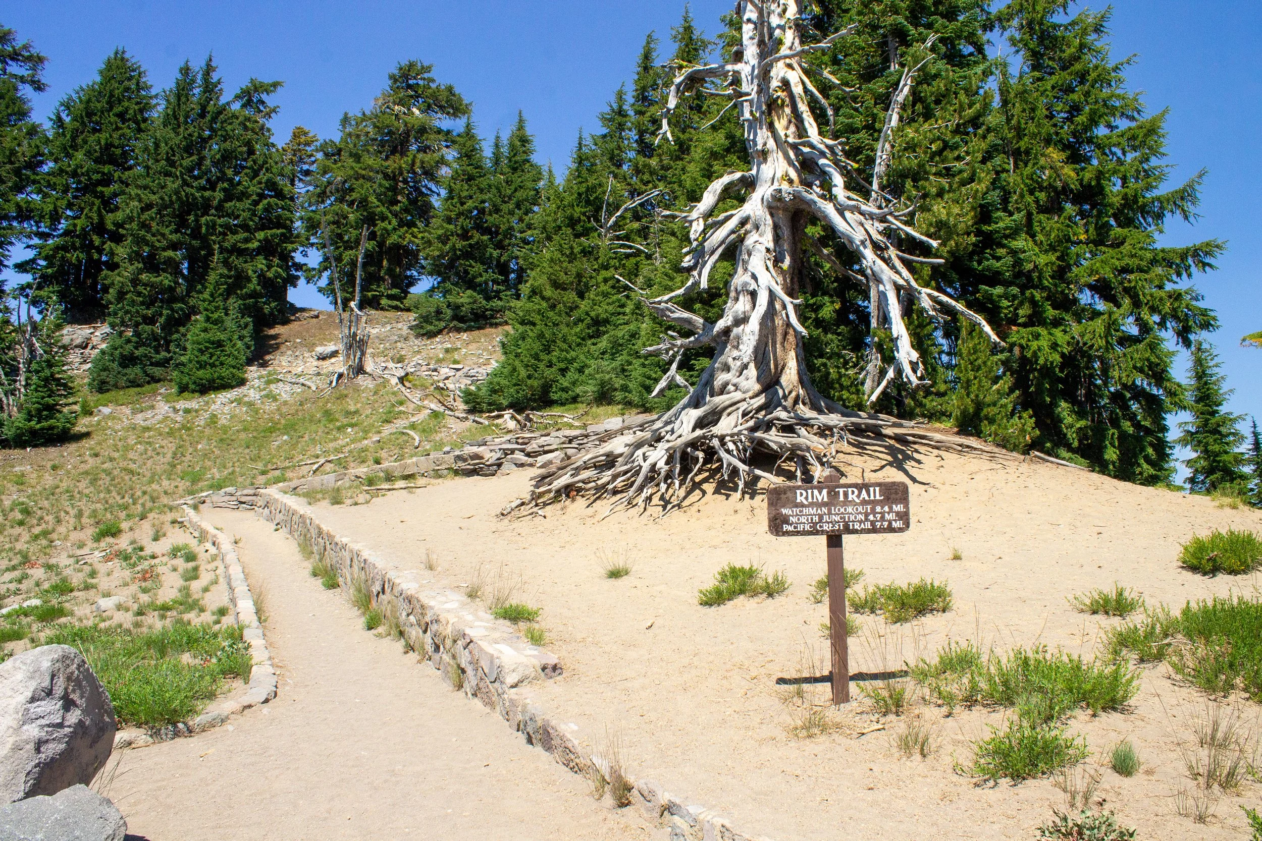 Rim Trail sign at trailhead