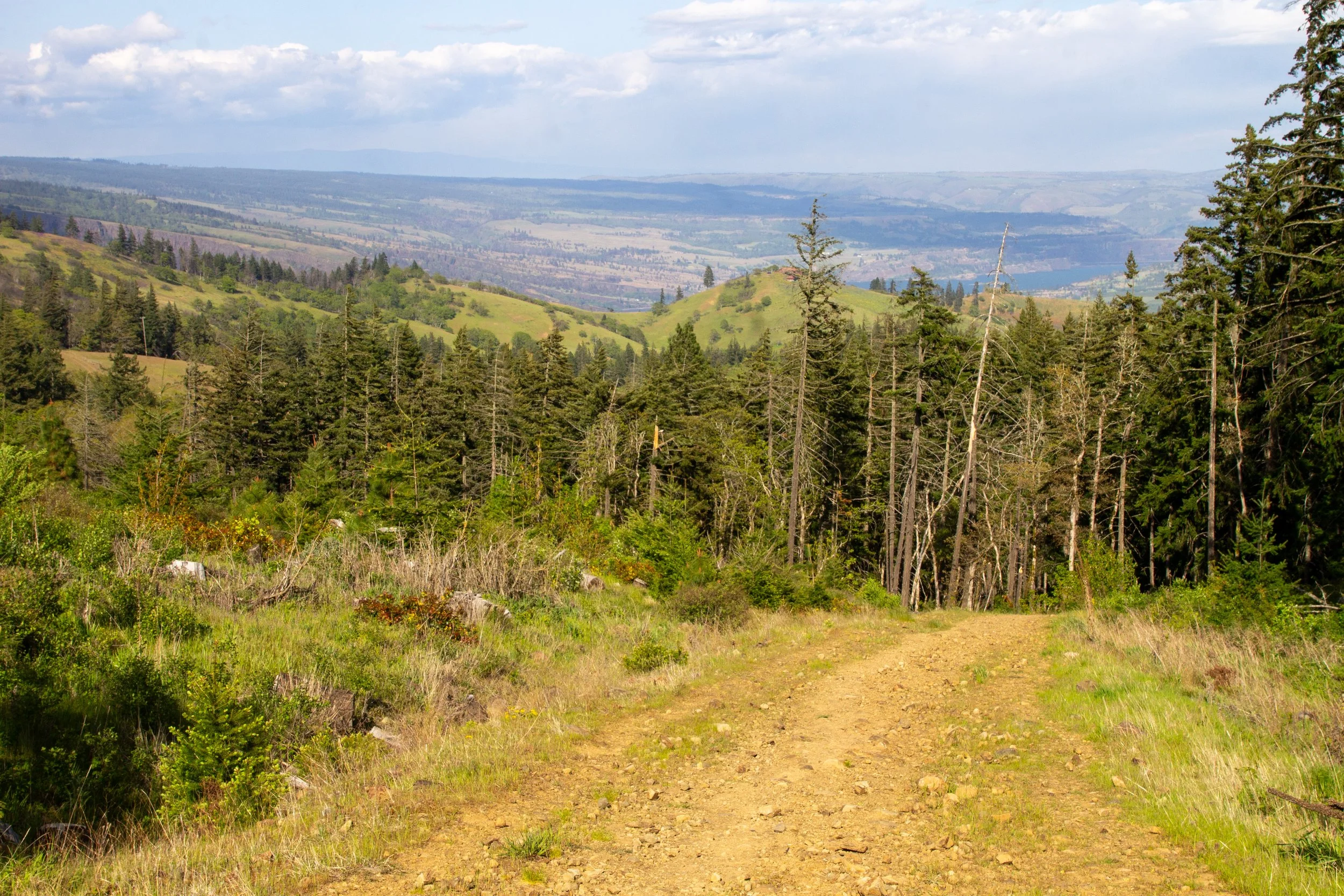 Hood River Mountain Trail
