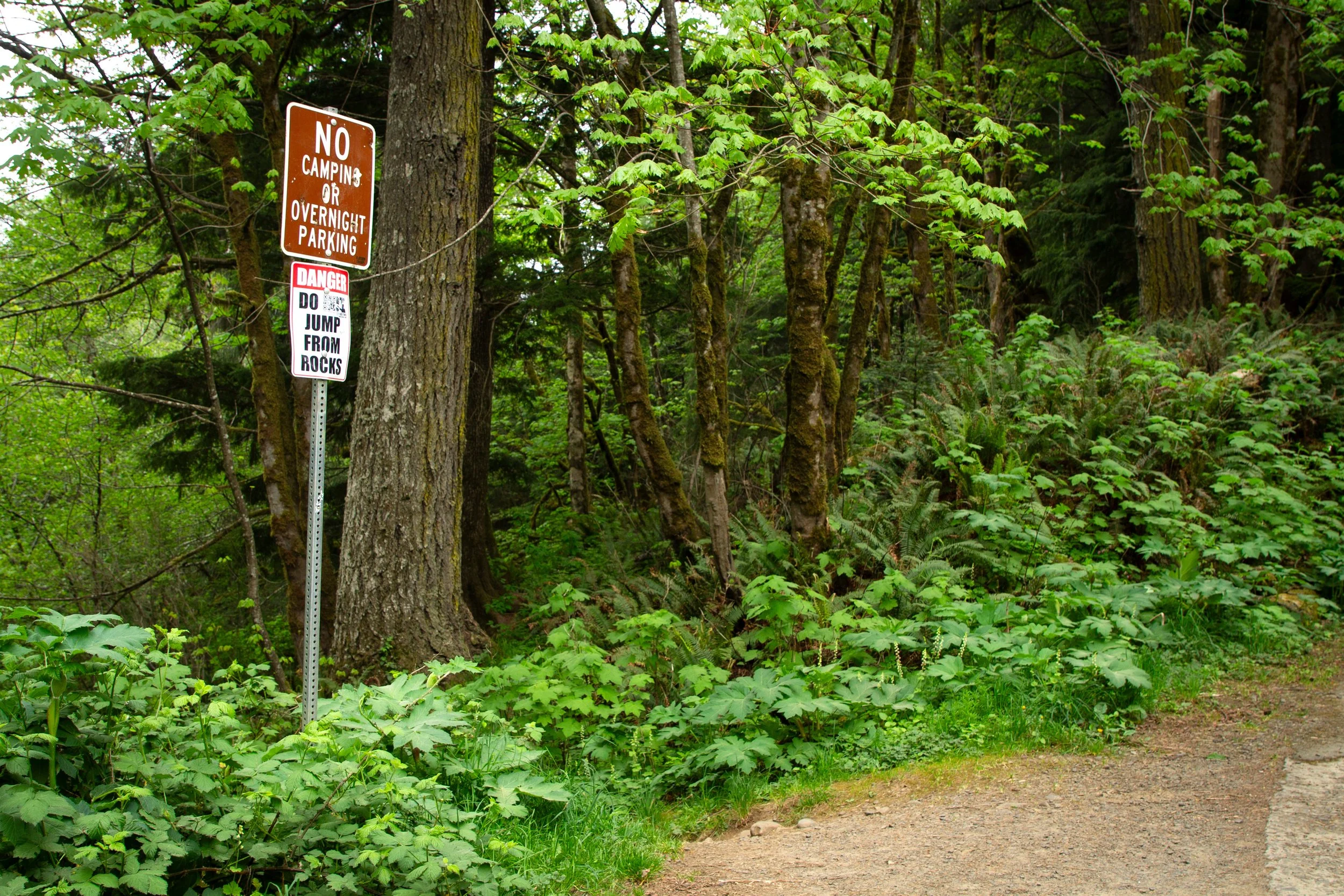 Sign next to gravel shoulder at edge of forest