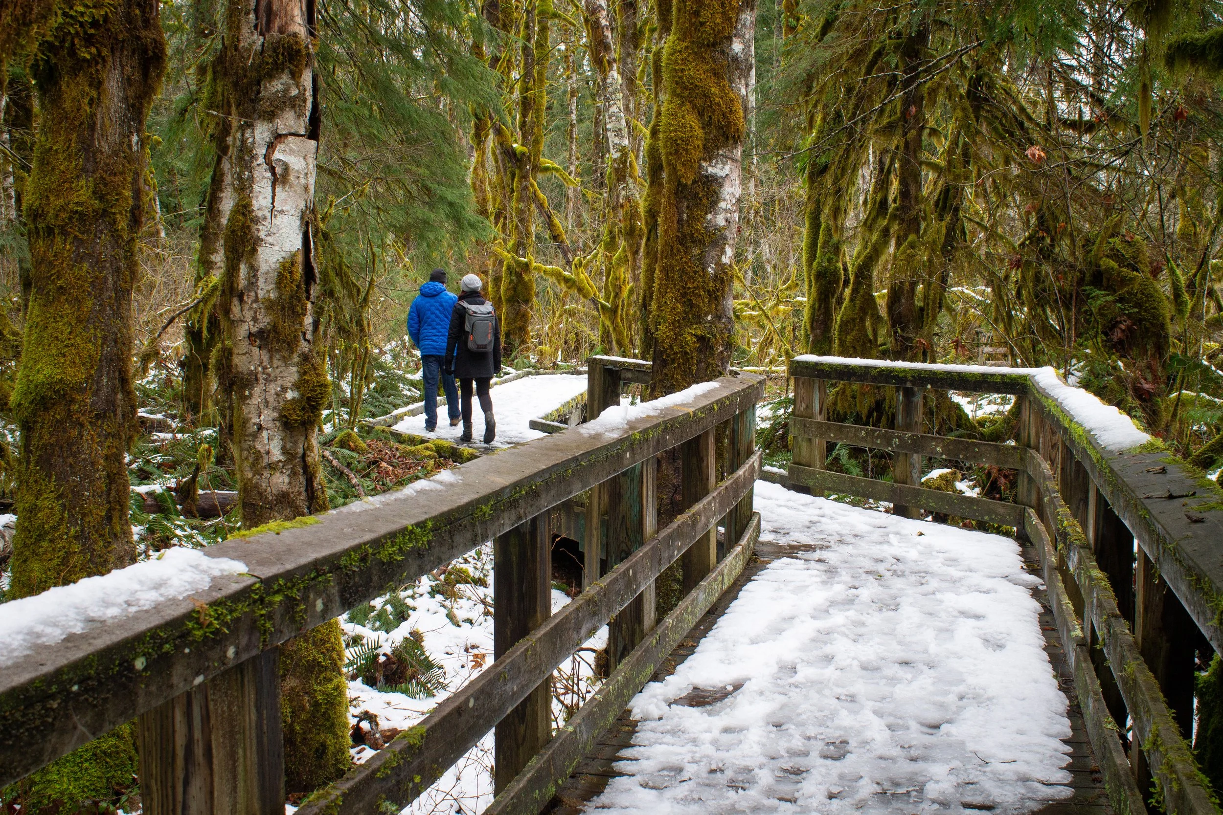 Hikers on snowy boardwalk trail