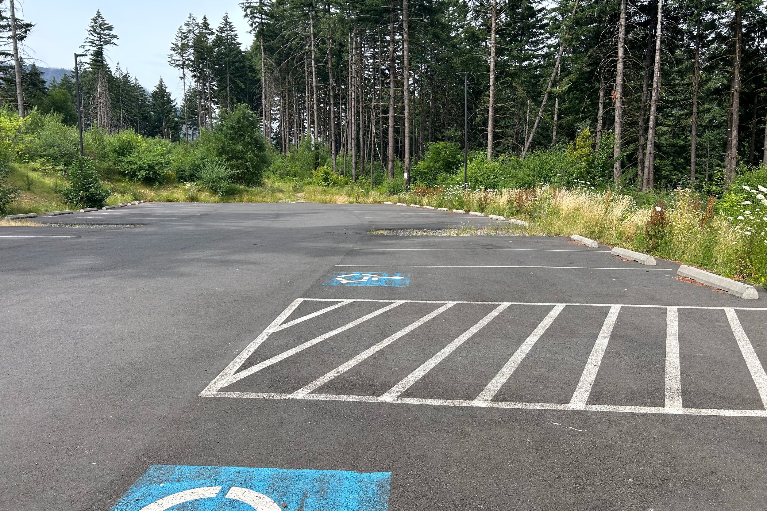 Harvey Road parking for Dry Creek Falls