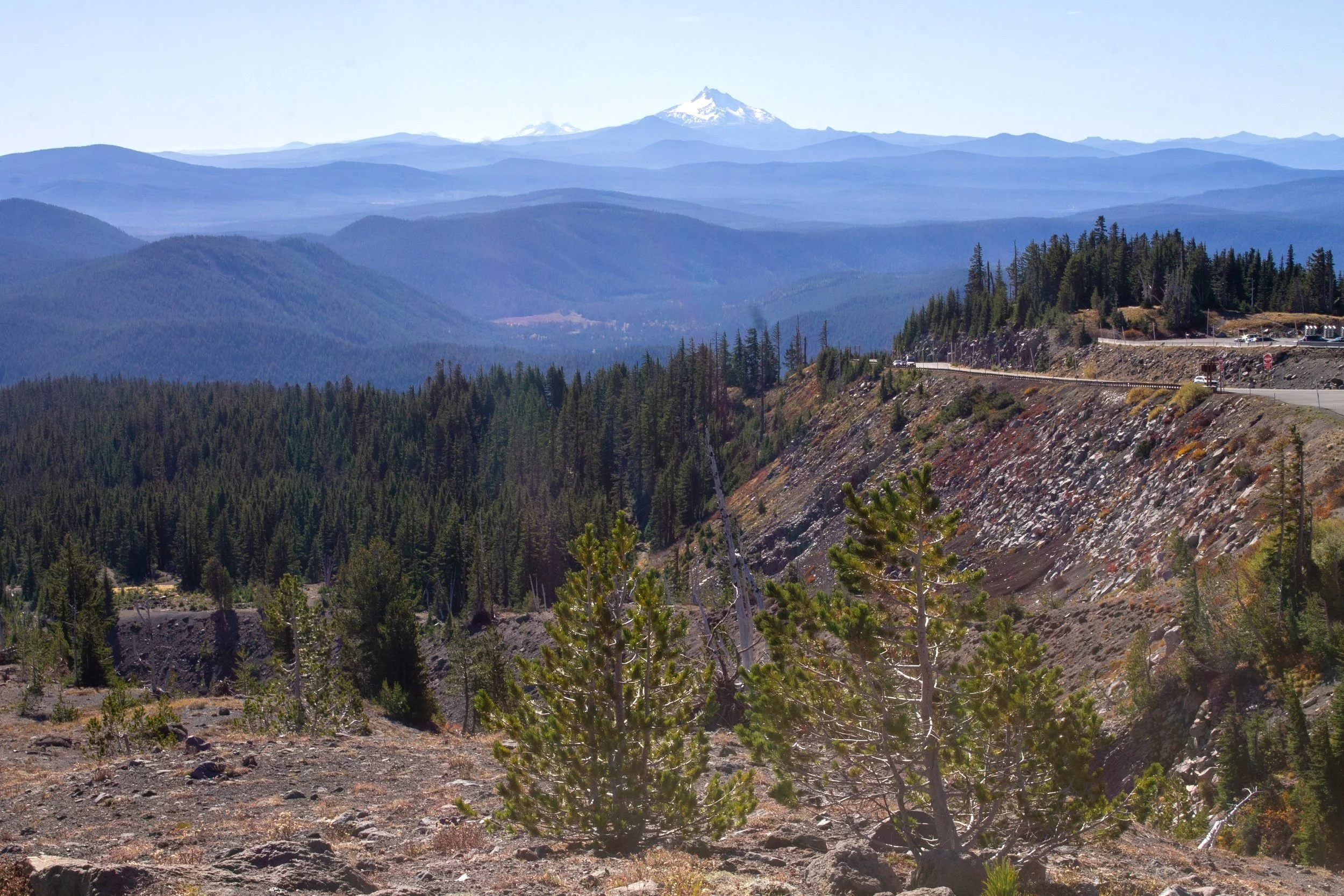 3 Incredible Short Hikes at Timberline Lodge — Pines and Vines