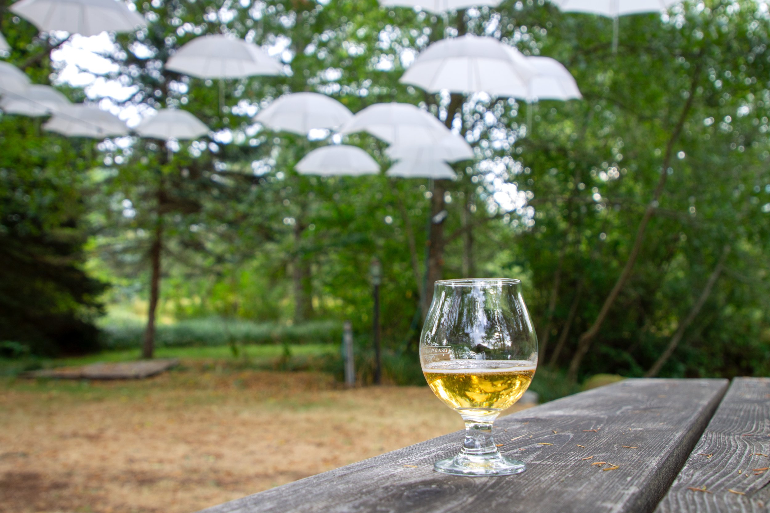 Cider glass on table with art umbrella display in background