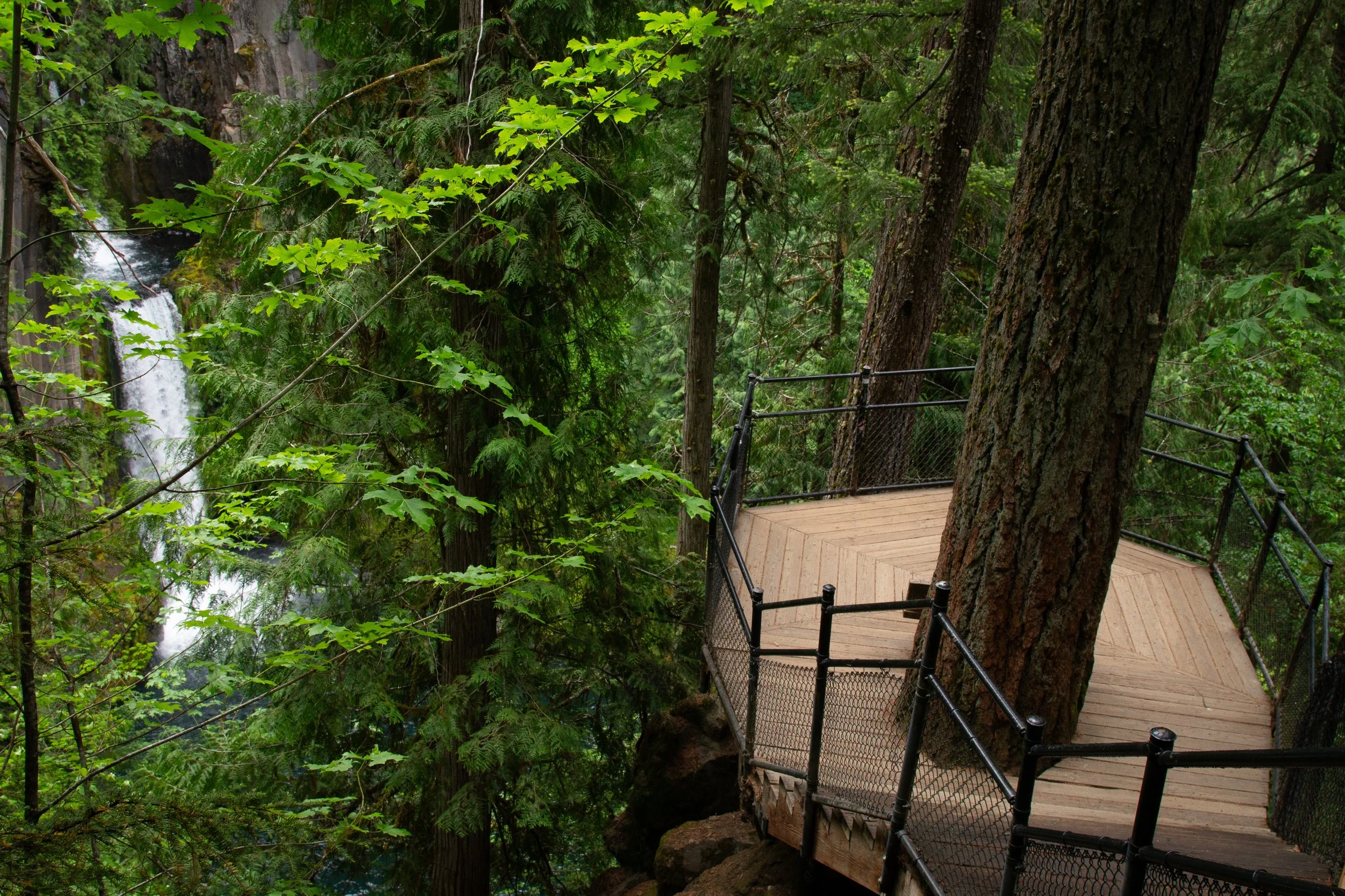 Viewing platform overlooking Toketee Falls