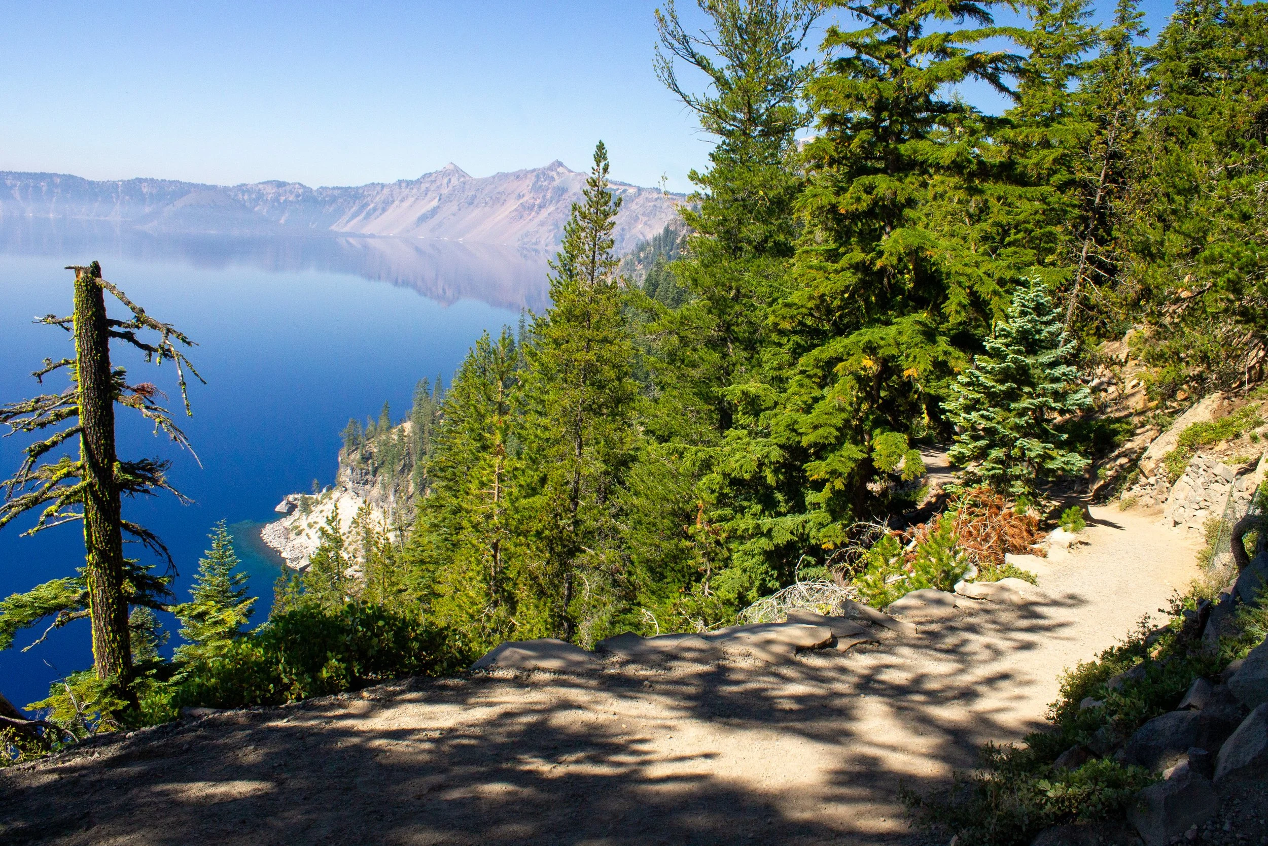 Trail next to Crater Lake