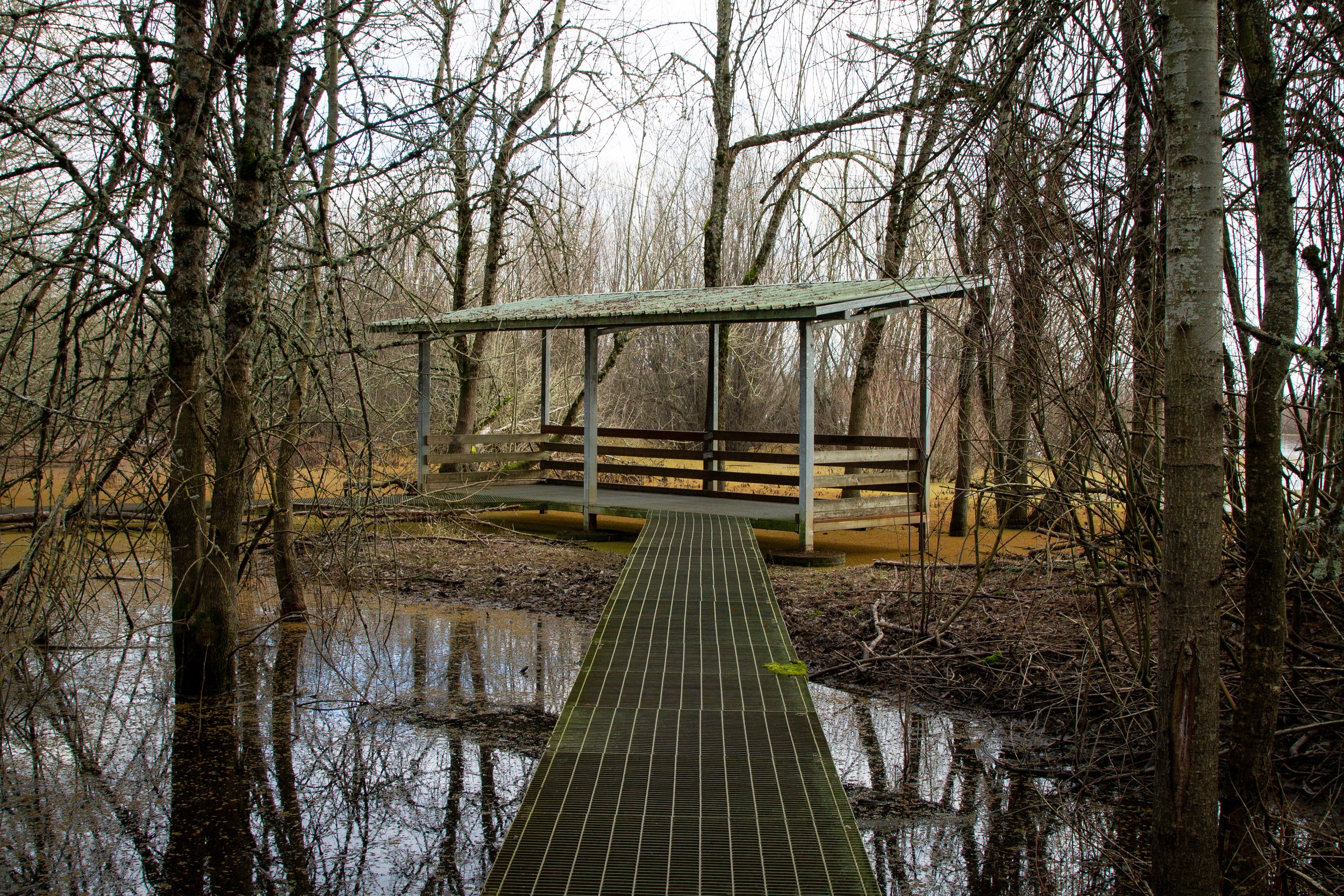 Metal walkway to covered viewpoint overlooking wetlands