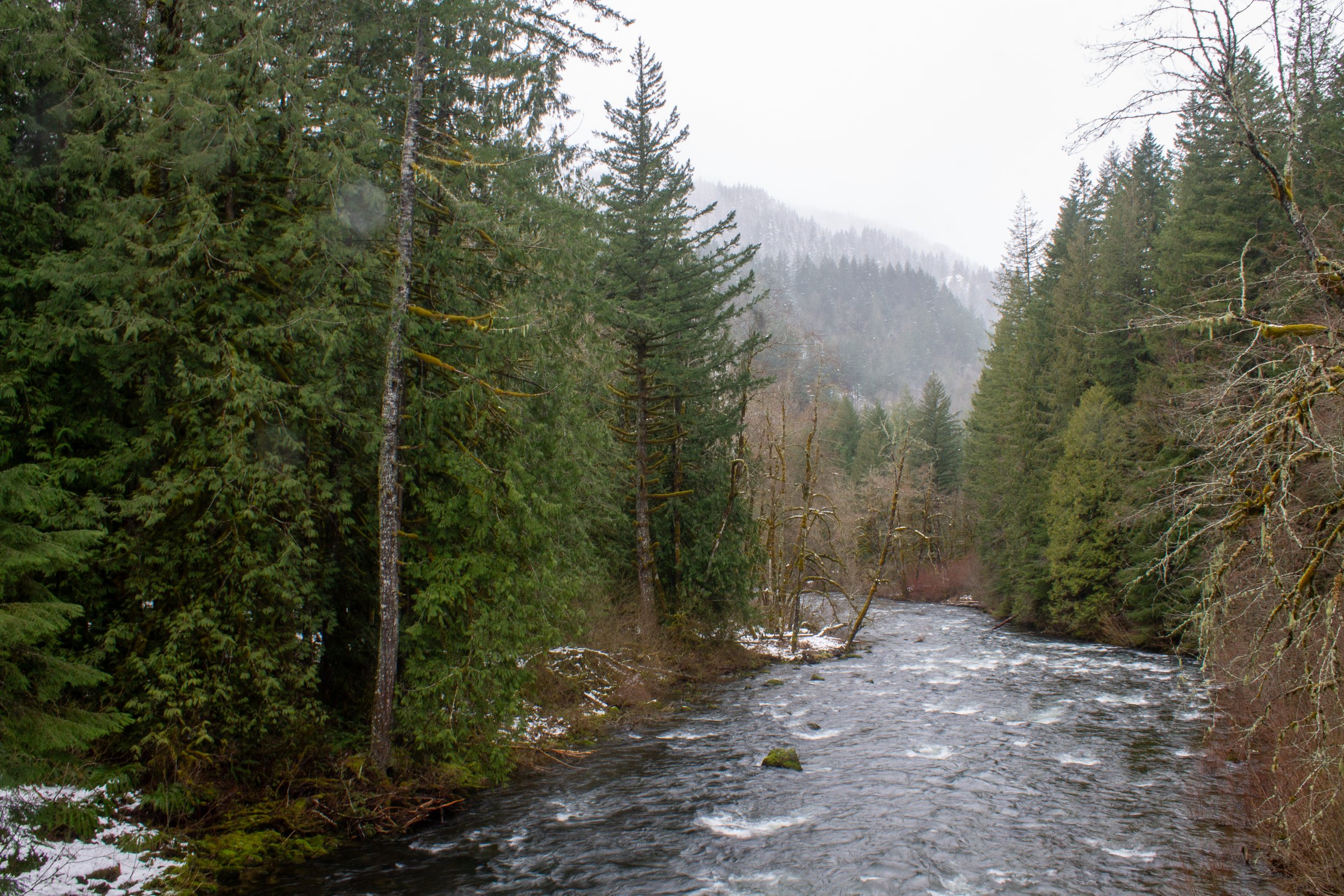 Salmon River in winter