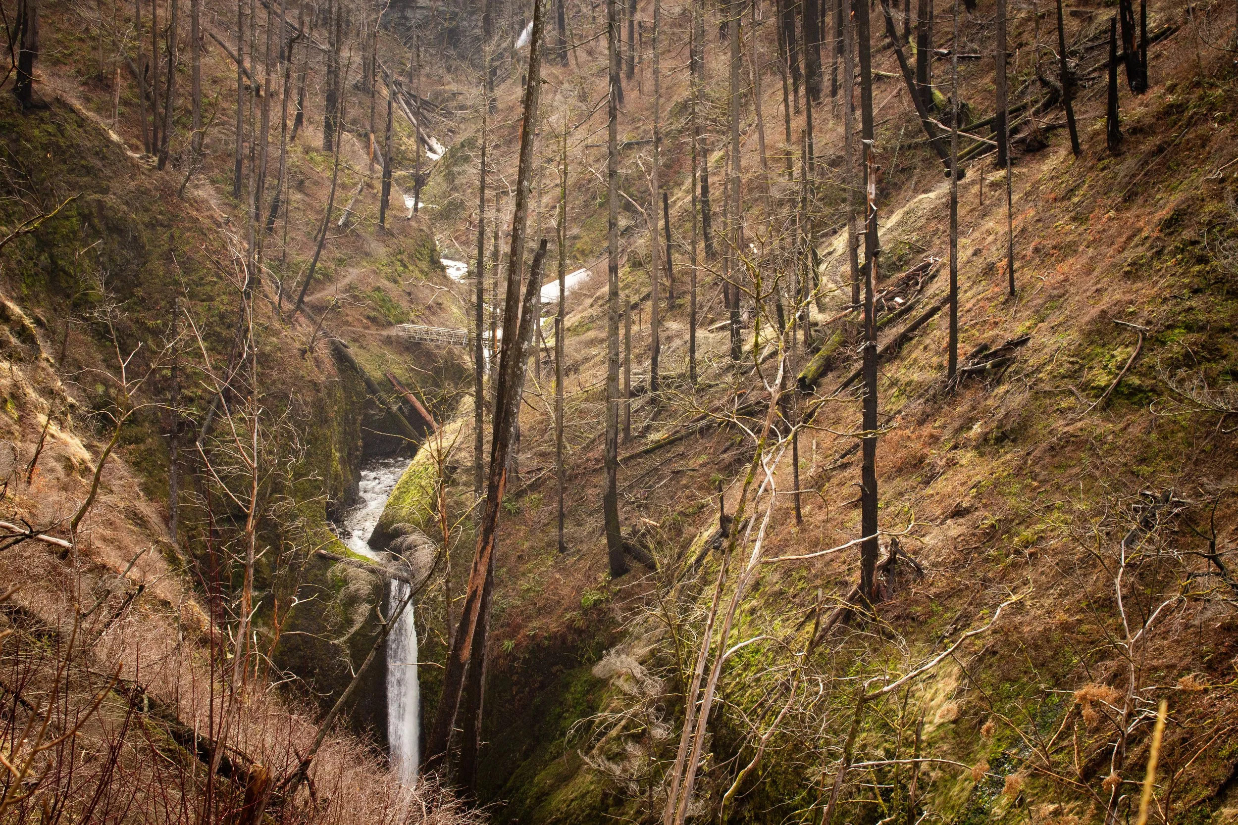 Lower Oneonta Falls in burnt forest