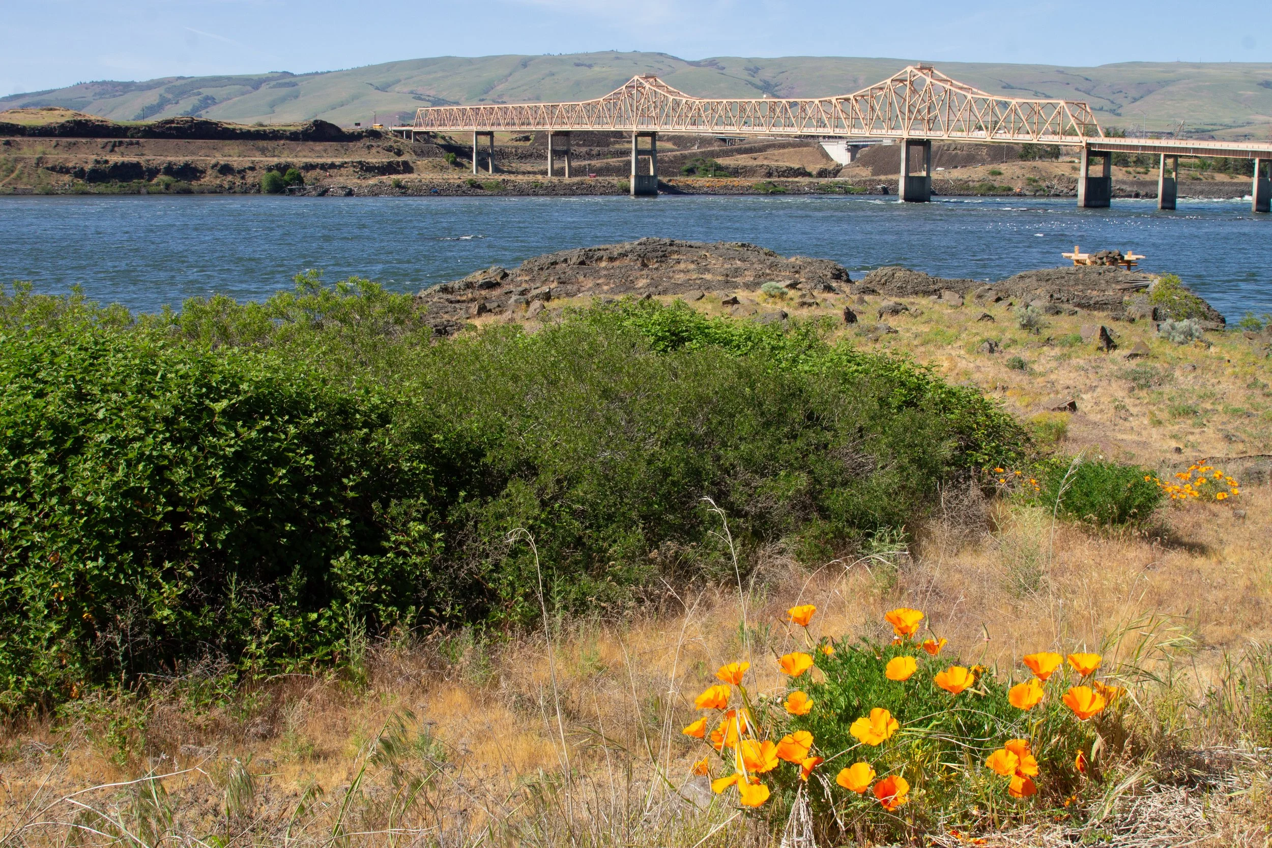 Dalles Bridge