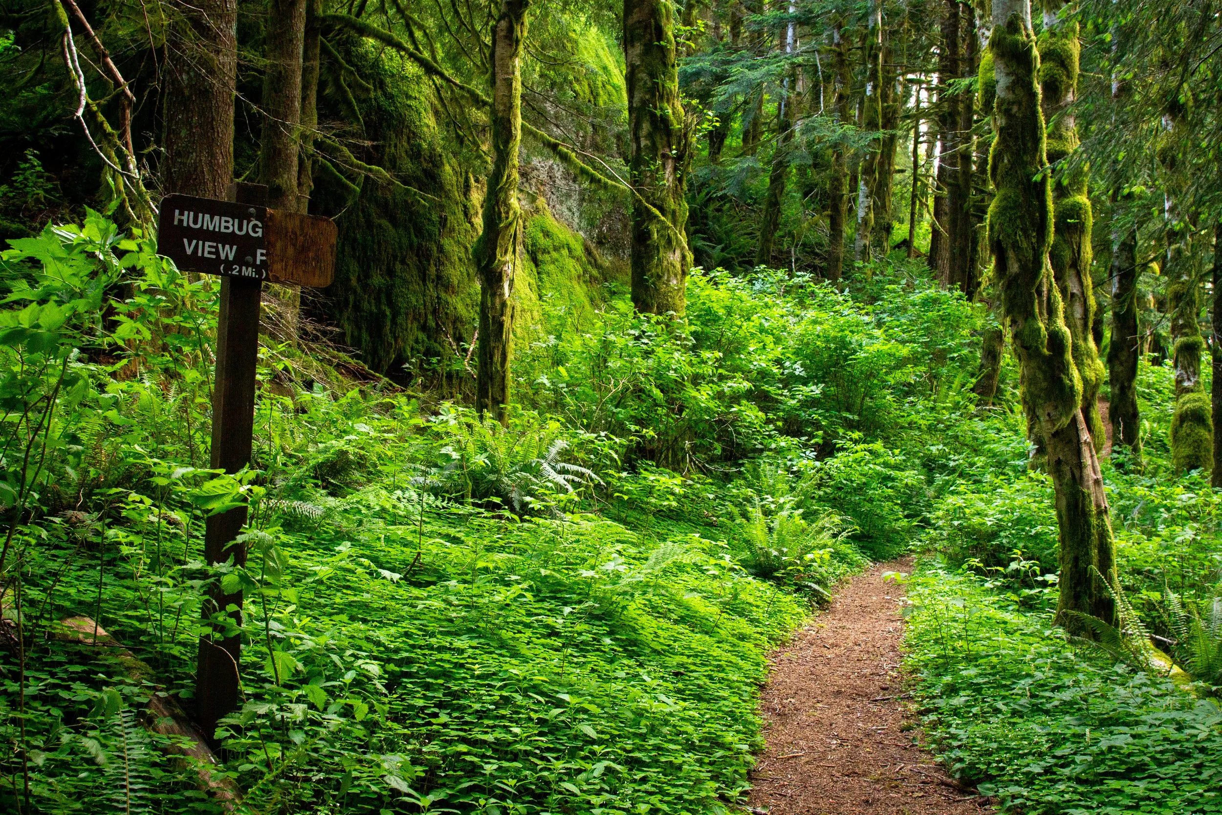 Sign next to trail for Humbug Viewpoint