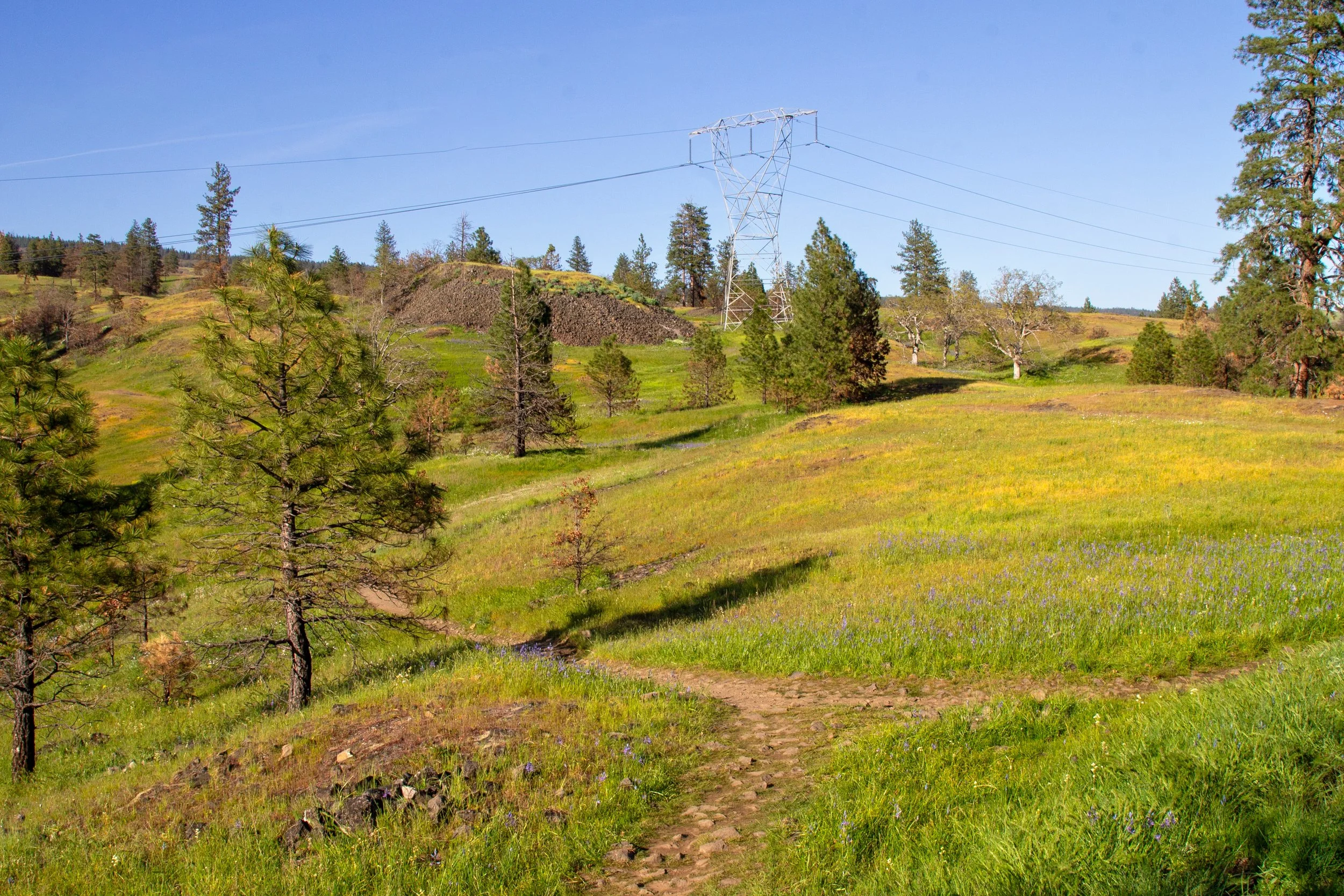 Trail junction in front of power line corridor