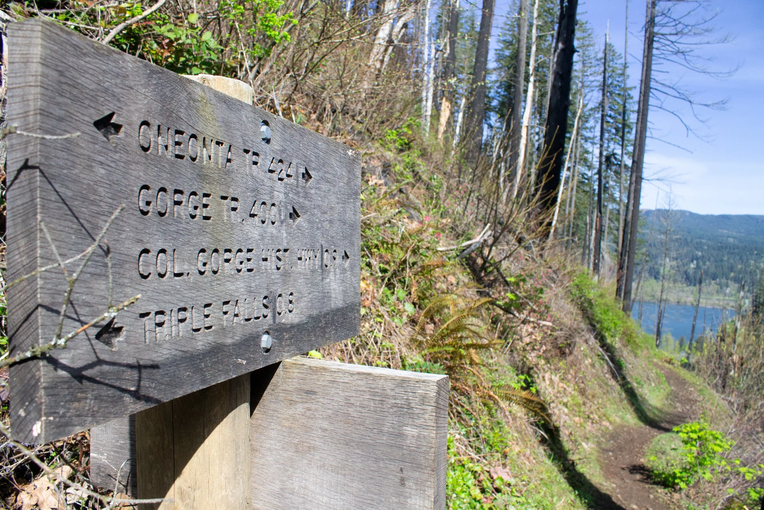 Sign points to Triple Falls