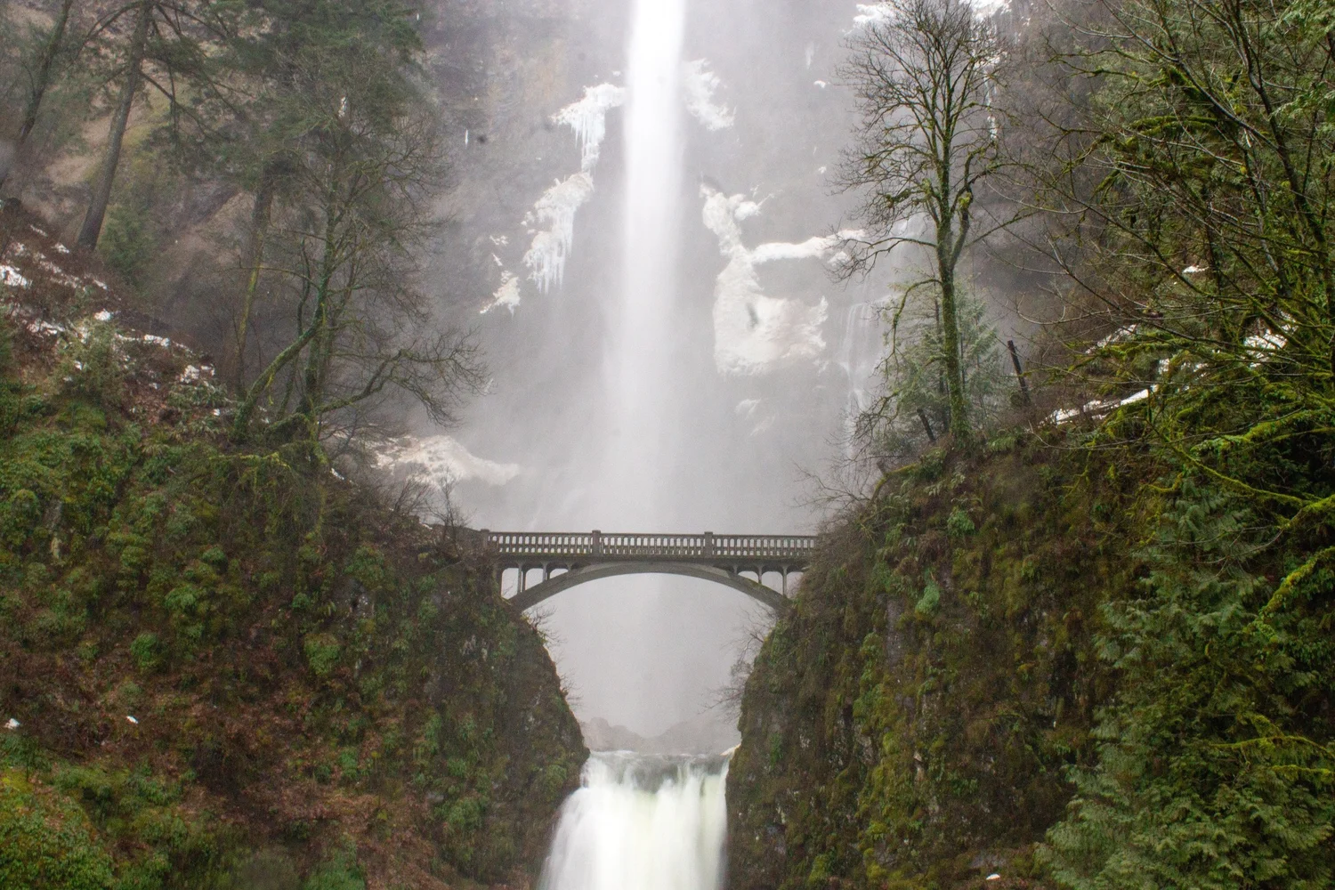 Best 10 Hikes Within 1 Hour of Portland — Pines and Vines — Pines and Vines