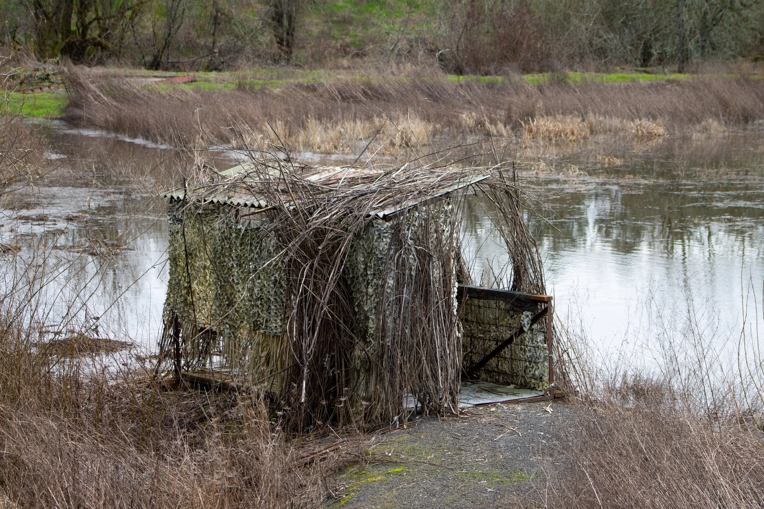 Hide next to Wapato Lake
