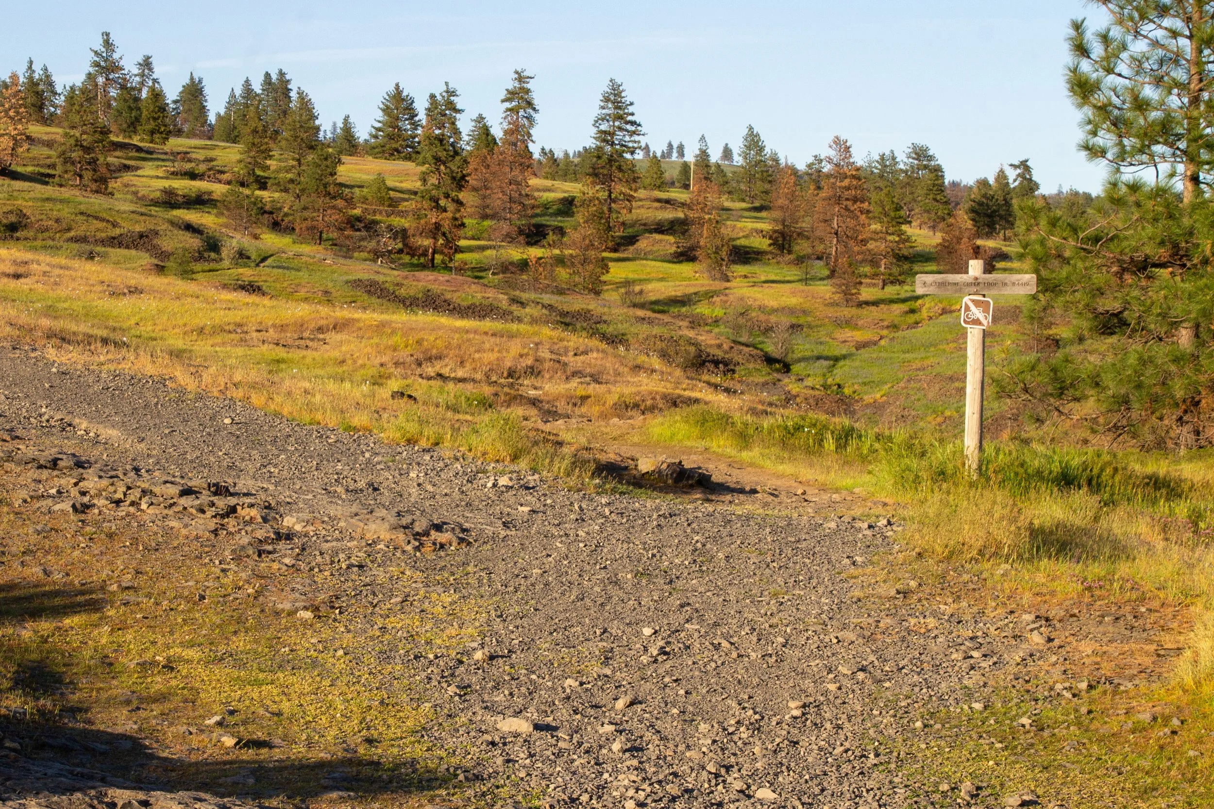 Trail junction