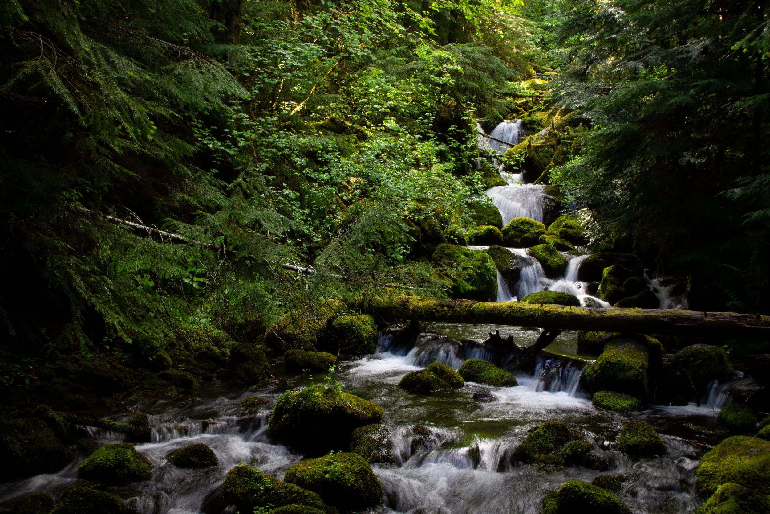 Cascades on Watson Creek