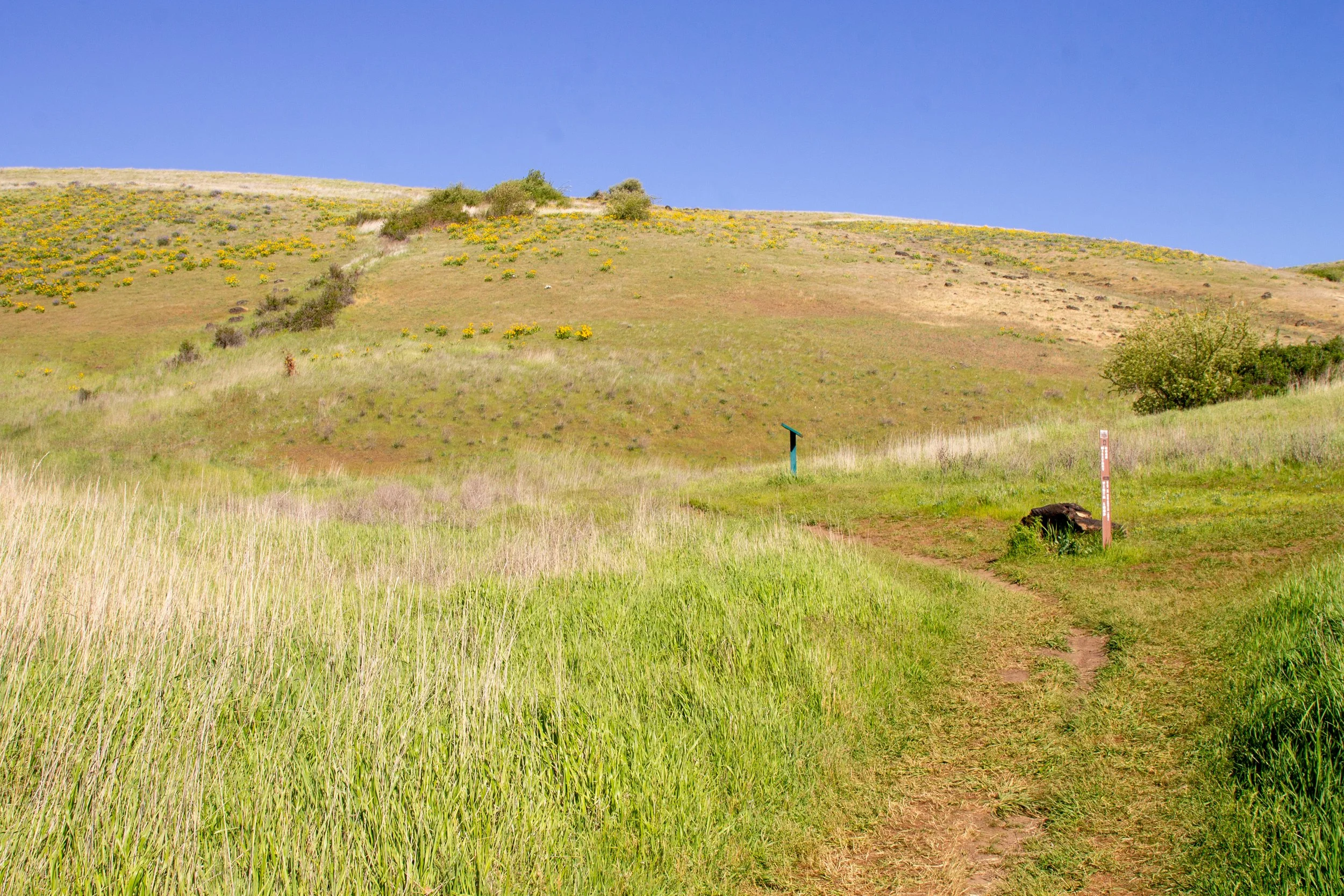 Trail junction on Columbia Hills Vista Loop