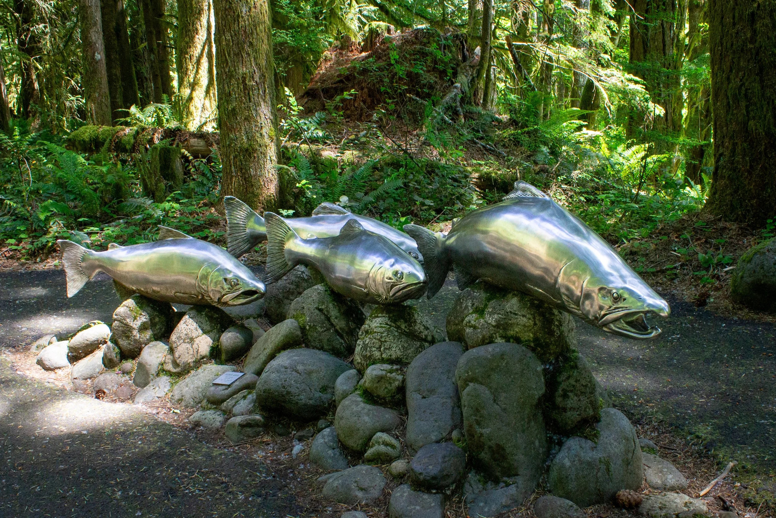 7 Fun Things to Do at Wildwood Recreation Site