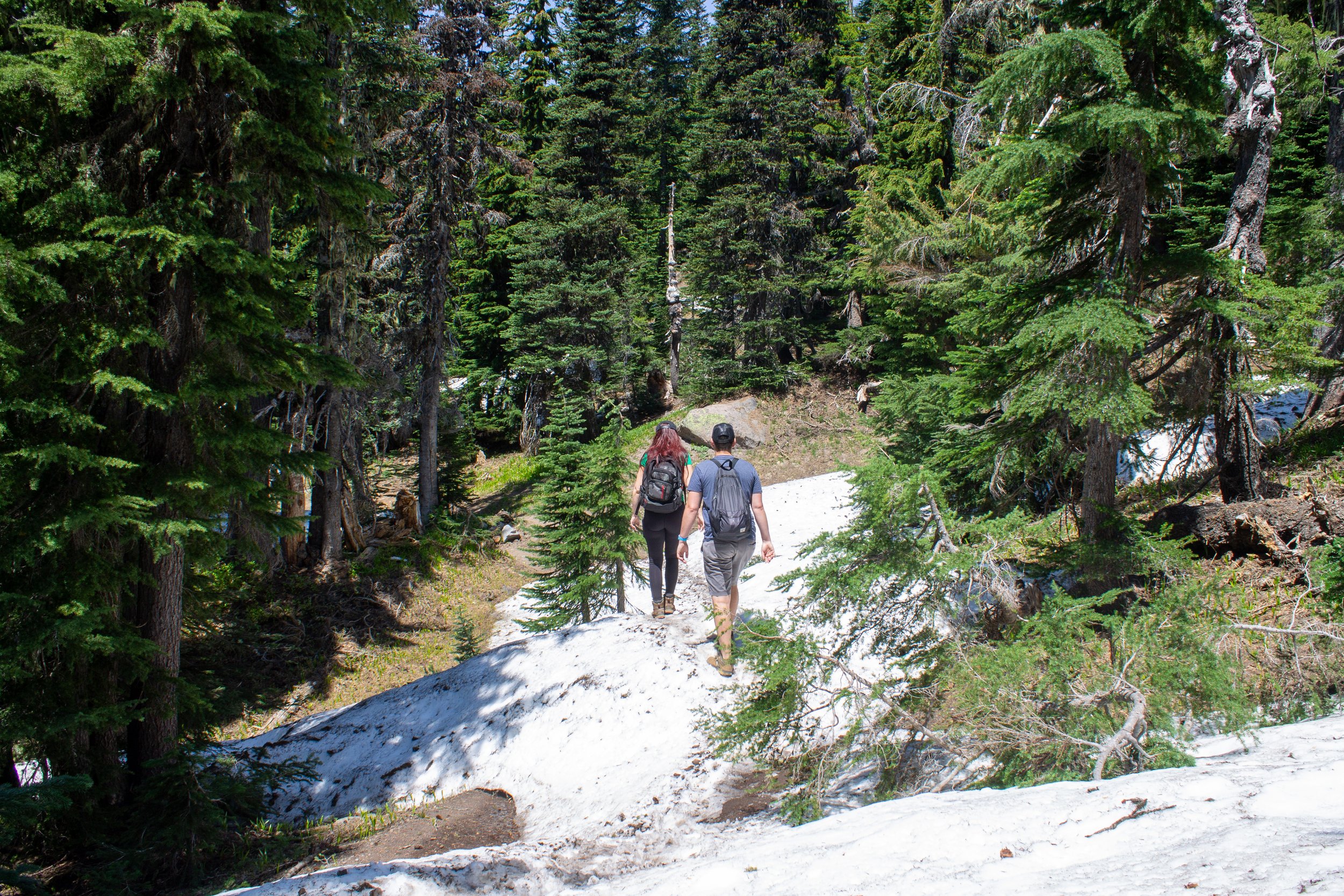 Hikers walk on snow in t-shirts
