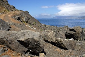 Quick Guide to Sisters Rock State Park on the Oregon Coast — Pines and ...