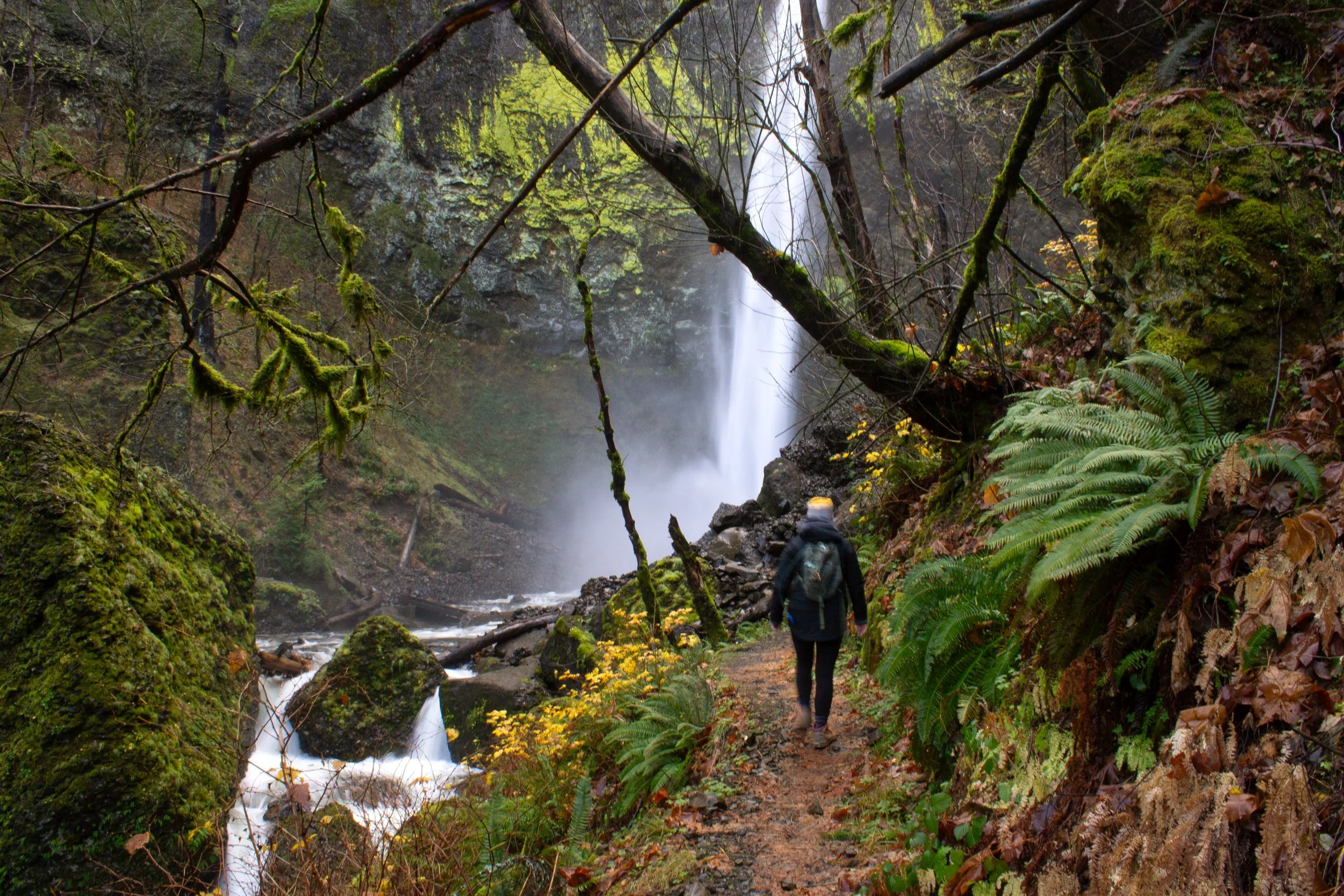 Hiker approaches Elowah Falls on trail