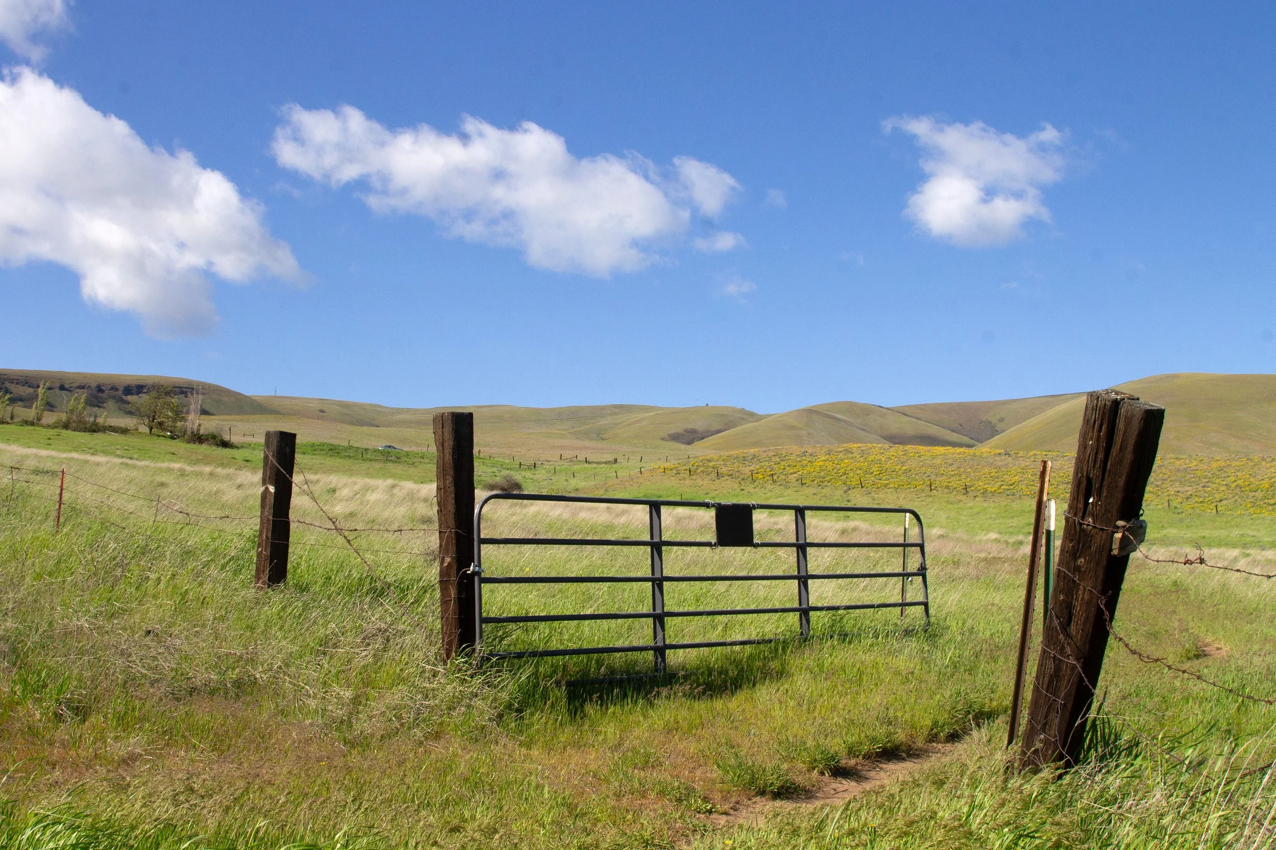 Farm gate in field