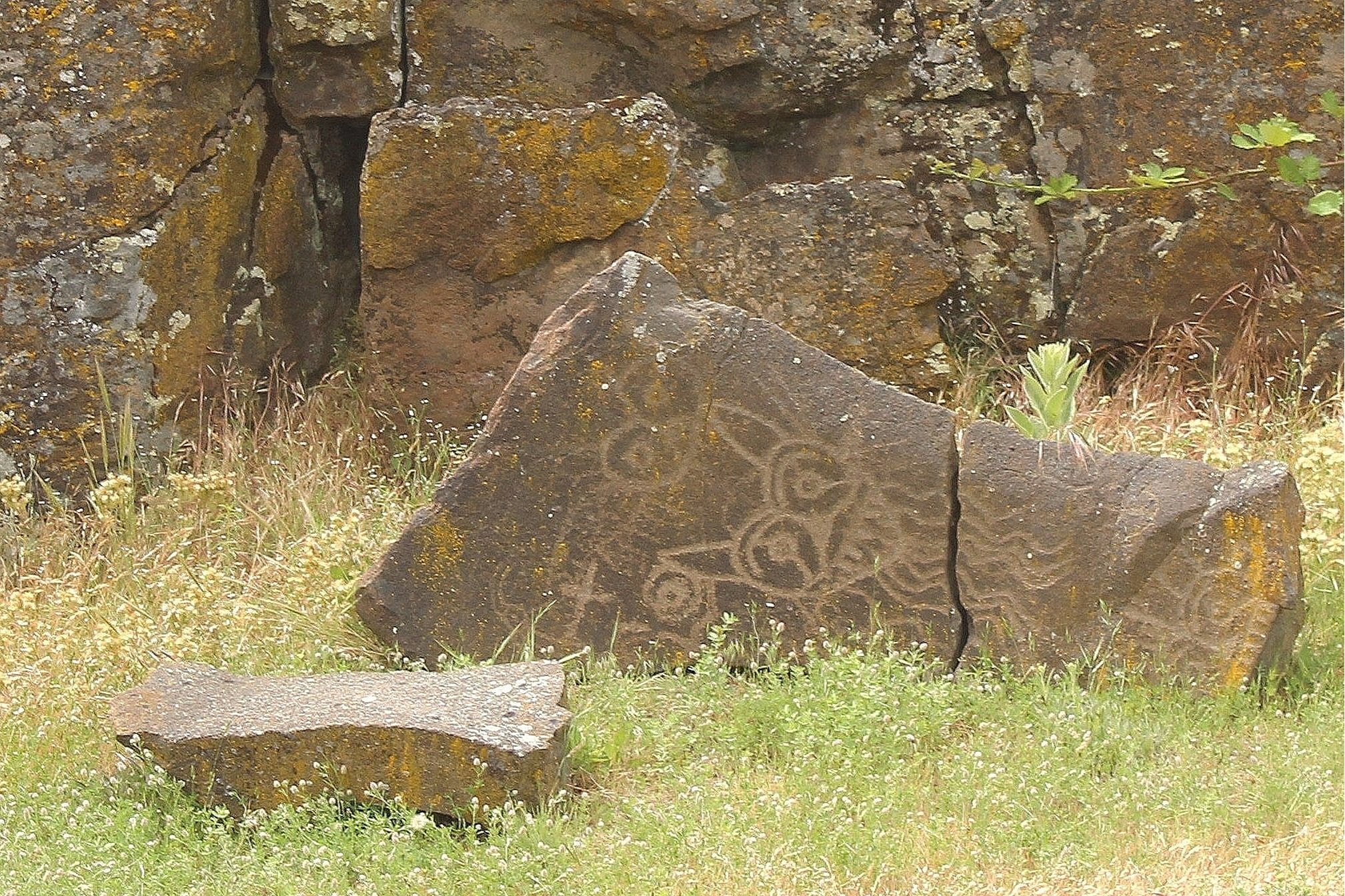 Columbia Hills Historical State Park