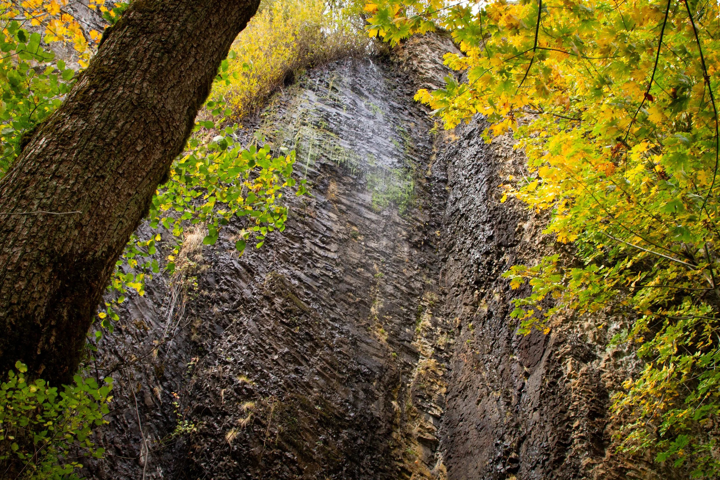 Dripping waterfall over cliff