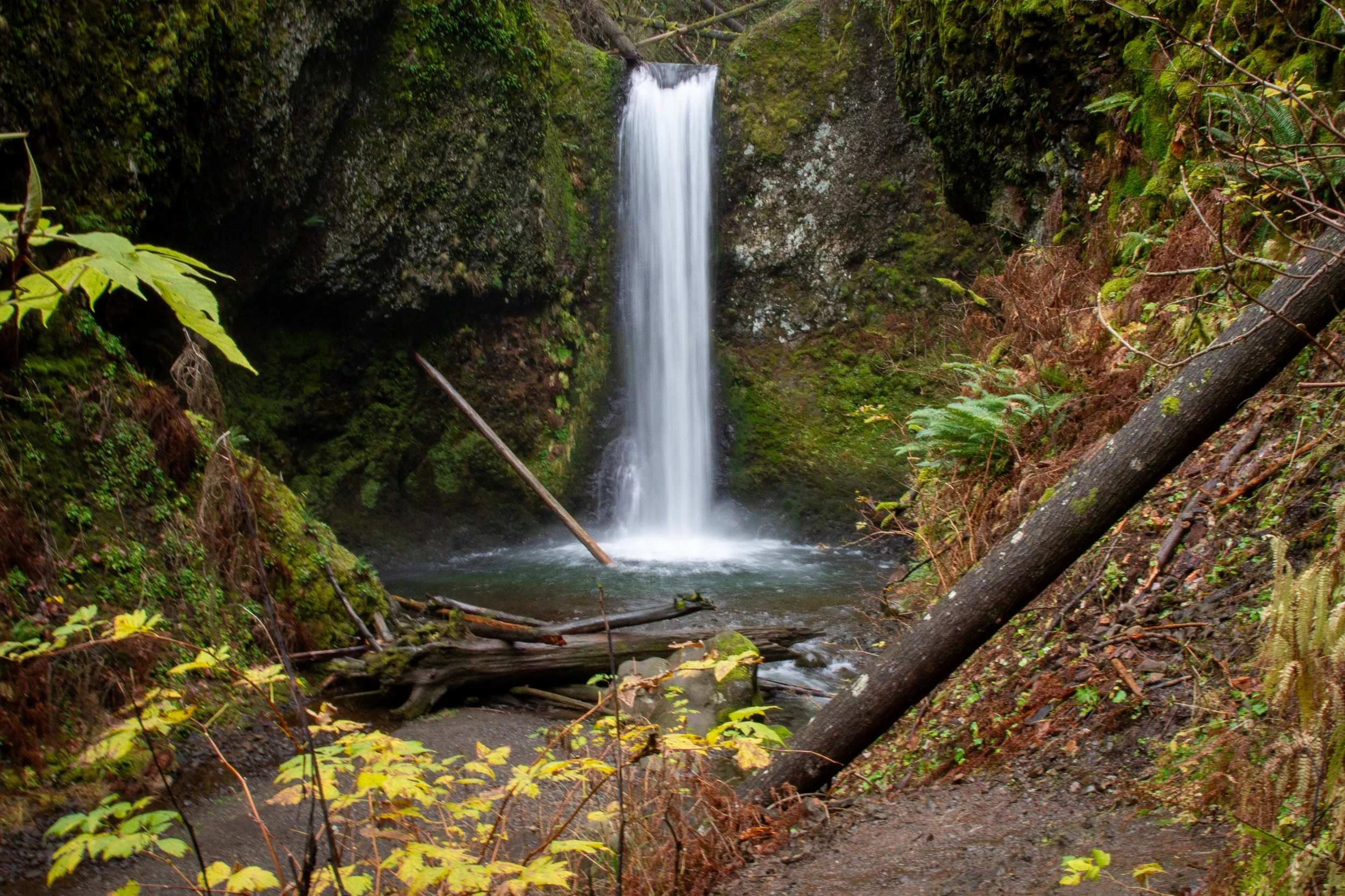 Waterfall in grotto surrounded by mossy cliffs