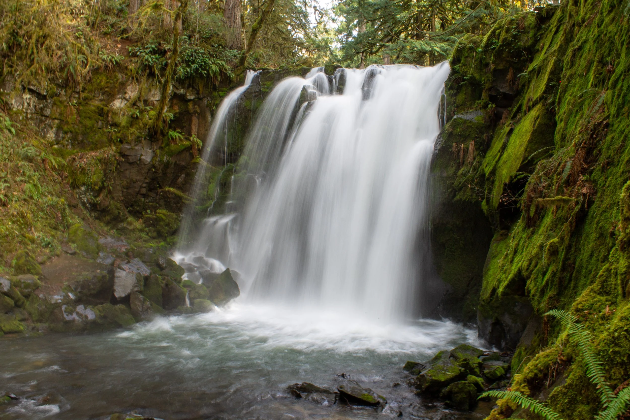 McDowell Creek Falls County Park Hike