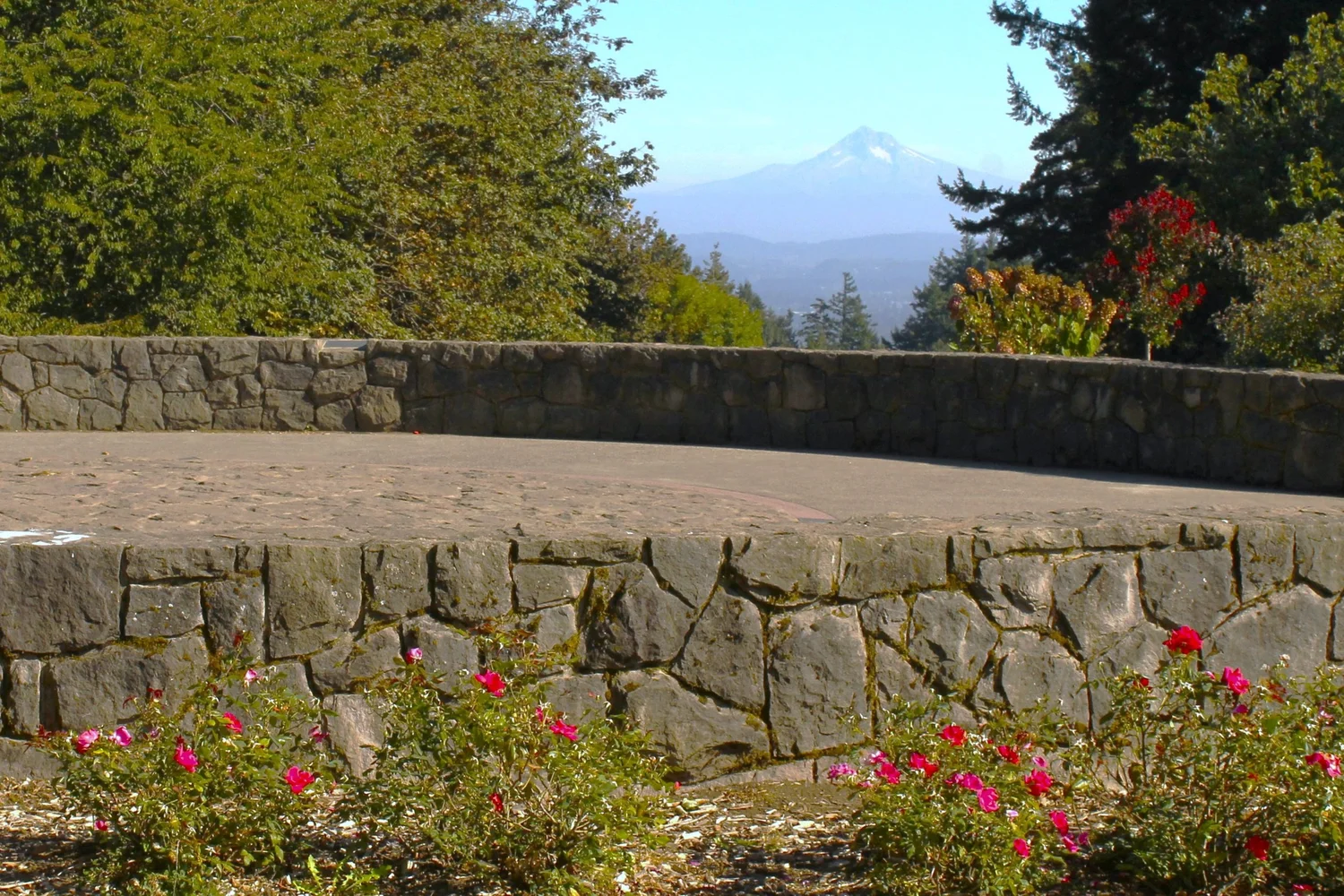 12 Beautiful Portland Parks for Hiking — Pines and Vines