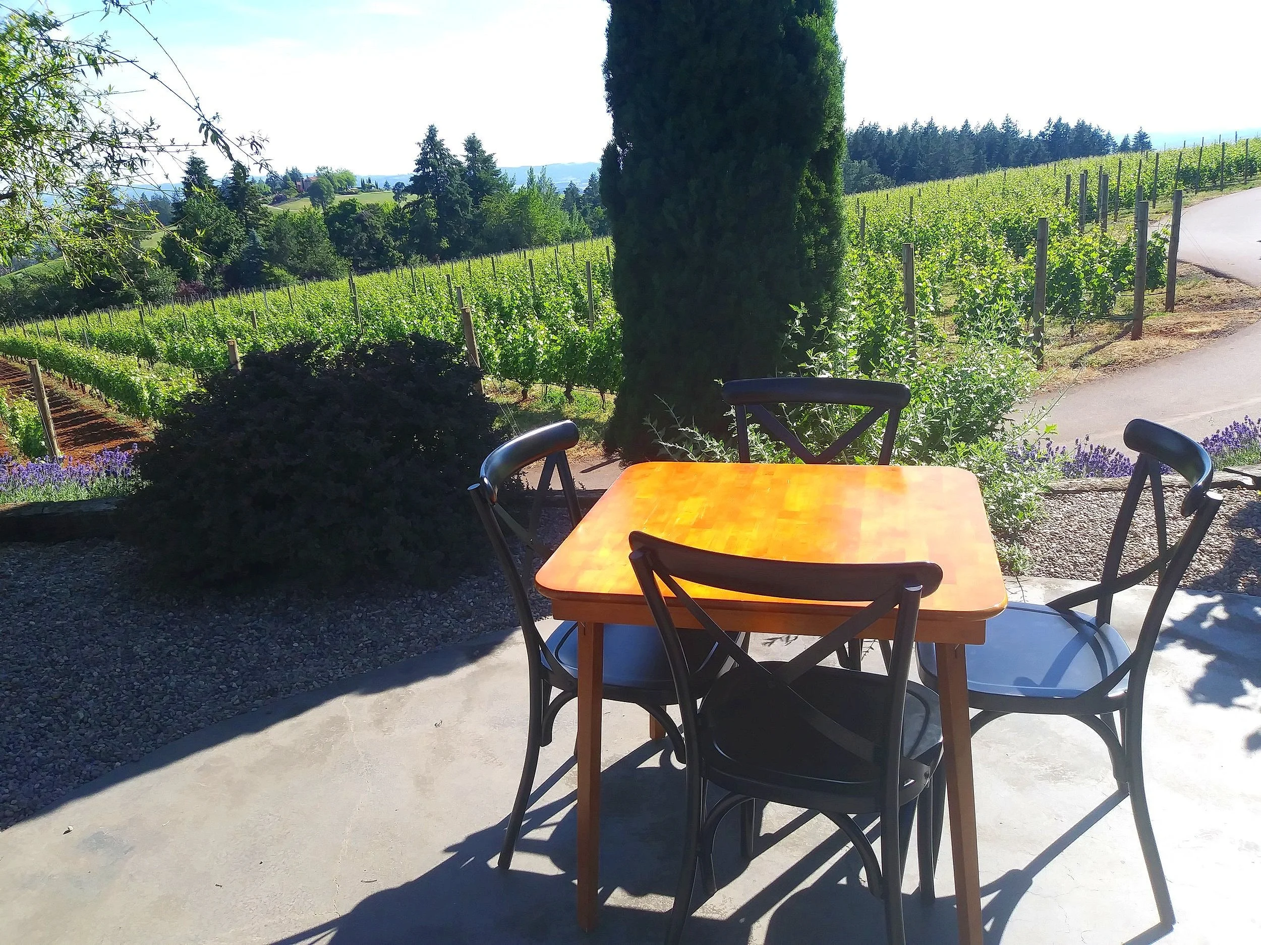 Oregon Wine Tasting Intro Guide — Pines and Vines — Pines and Vines