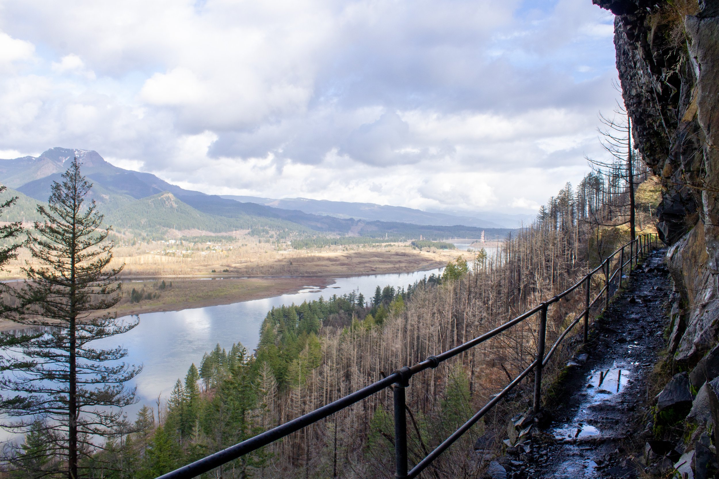 Rail-lined trail along basalt cliff with Columbia Gorge views