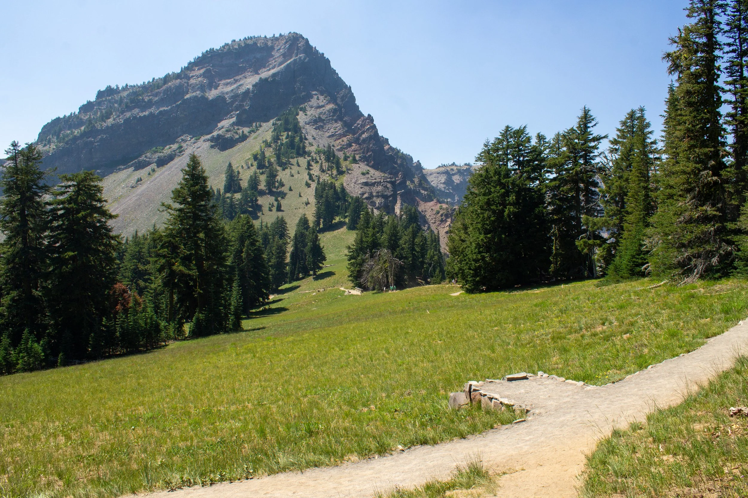 Hiking trail through meadow