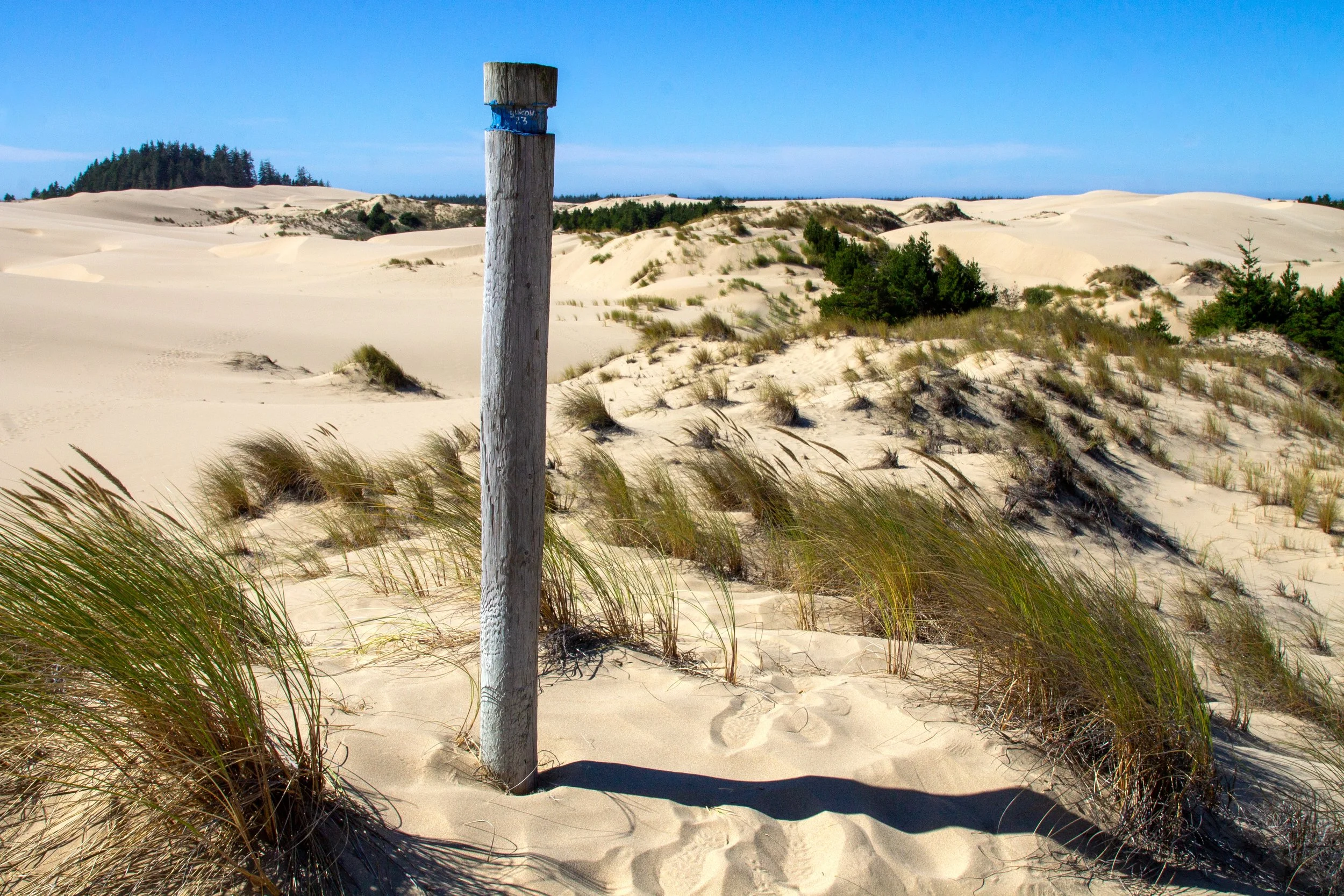 Post marks hiking trail across dunes