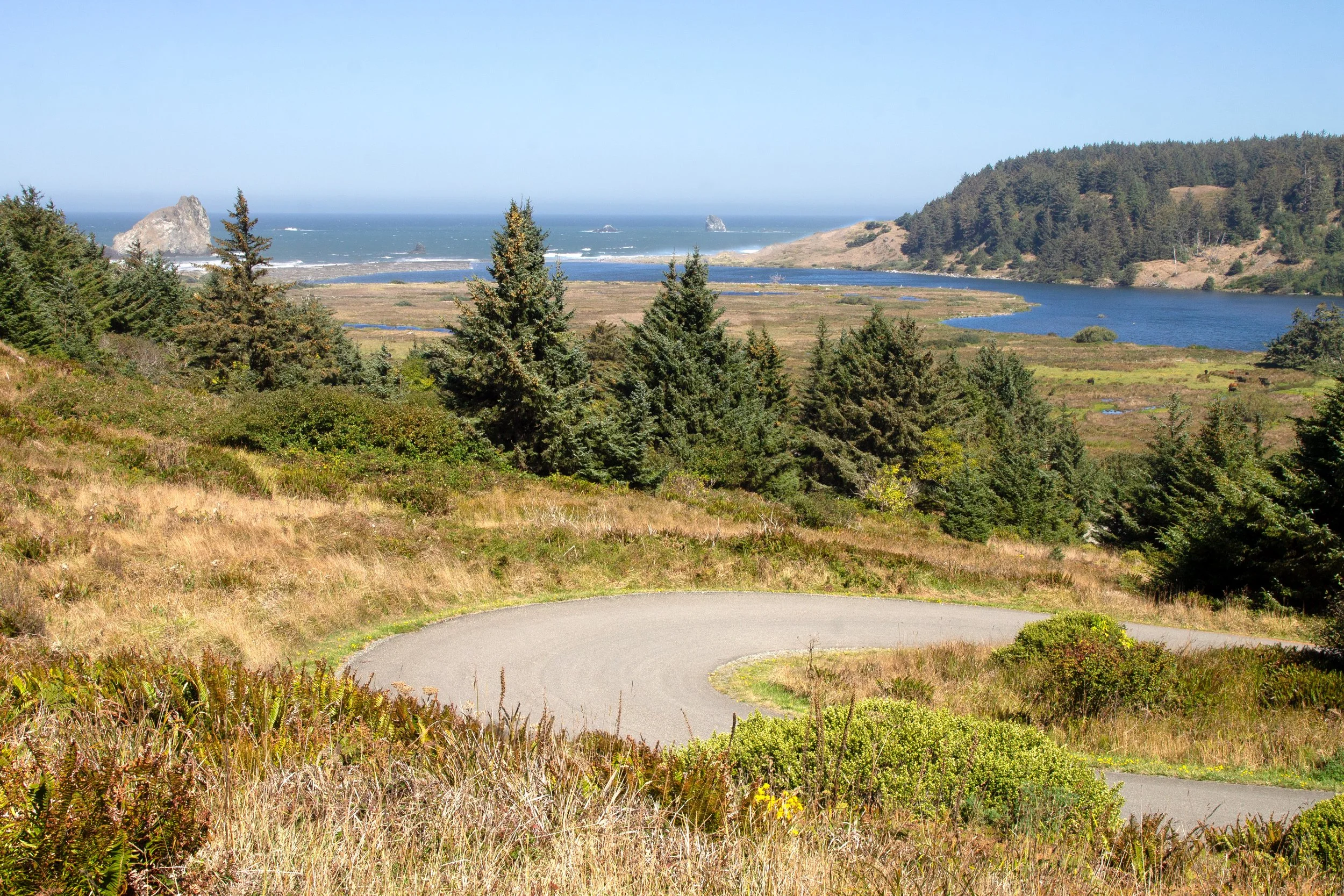 Road leads to Sixes River near outlet into the ocean