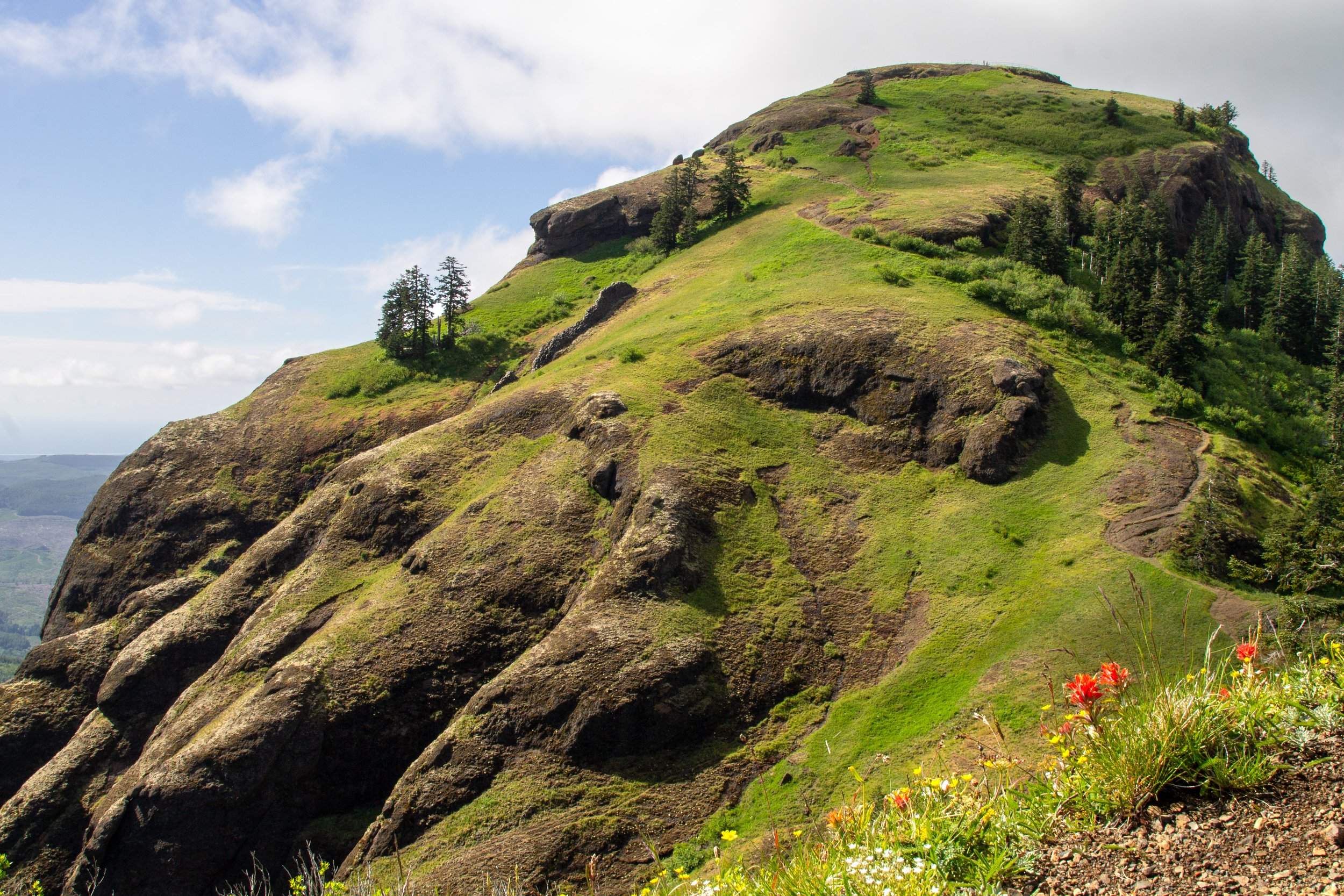 Saddle Mountain Hiking Guide