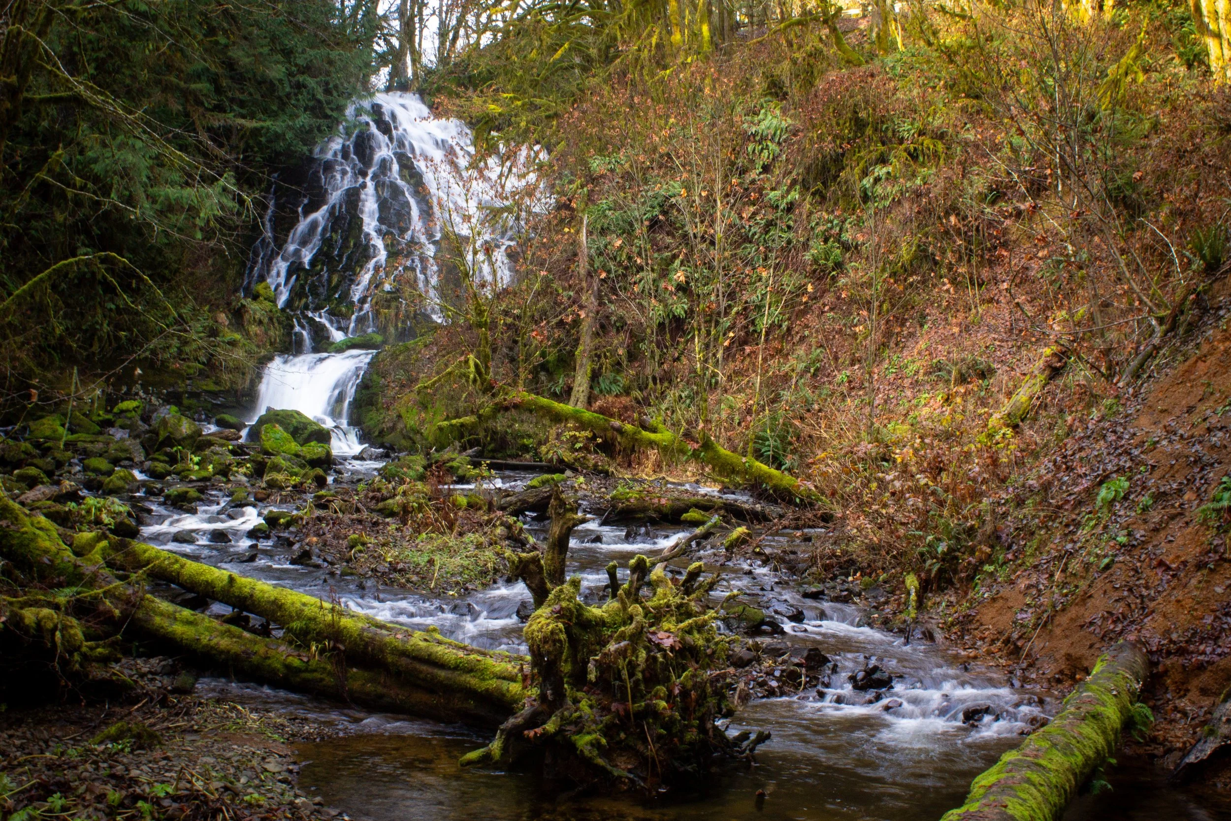 Fishhawk Falls in winter